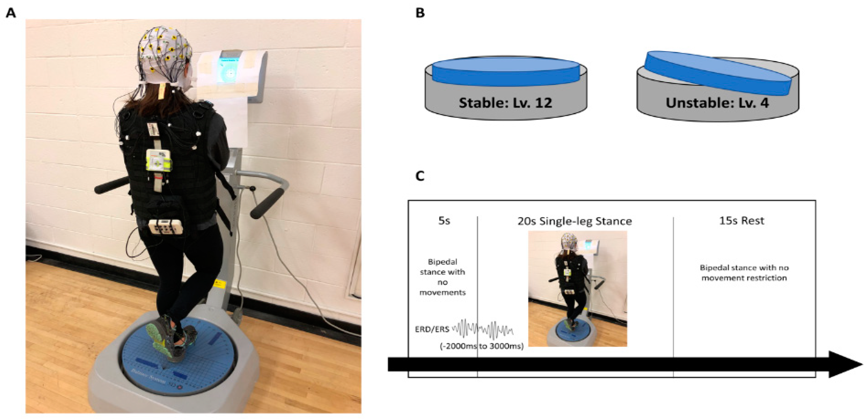 Biology 11 00119 g001