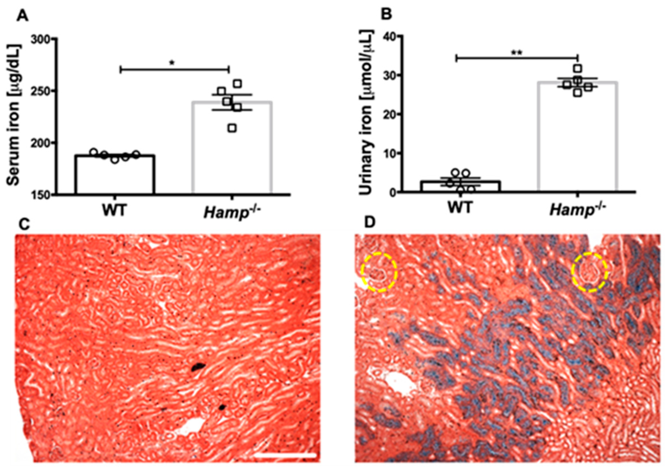Biology 11 00123 g001