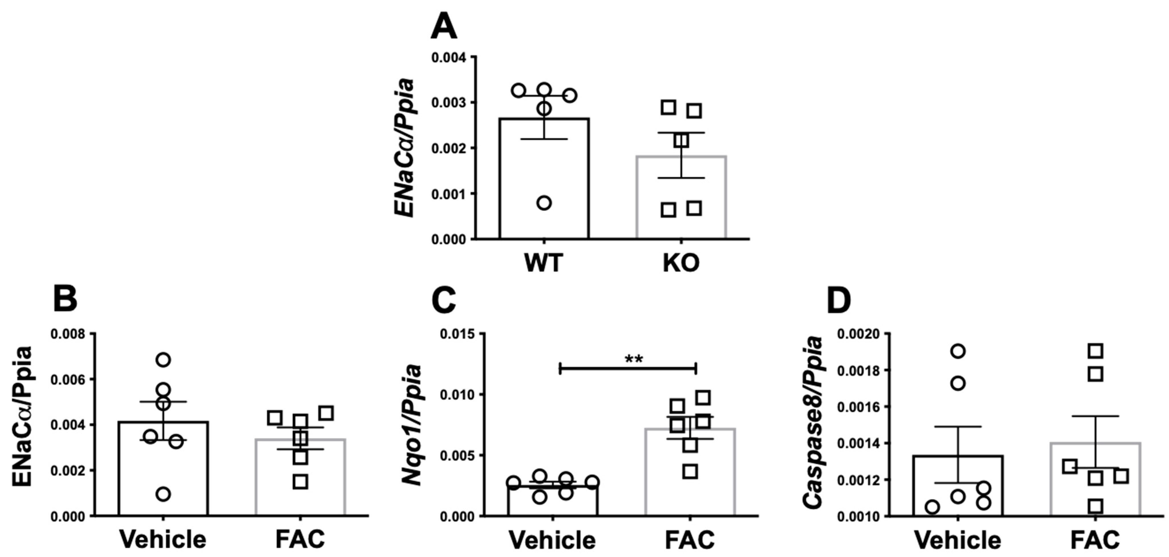 Biology 11 00123 g002