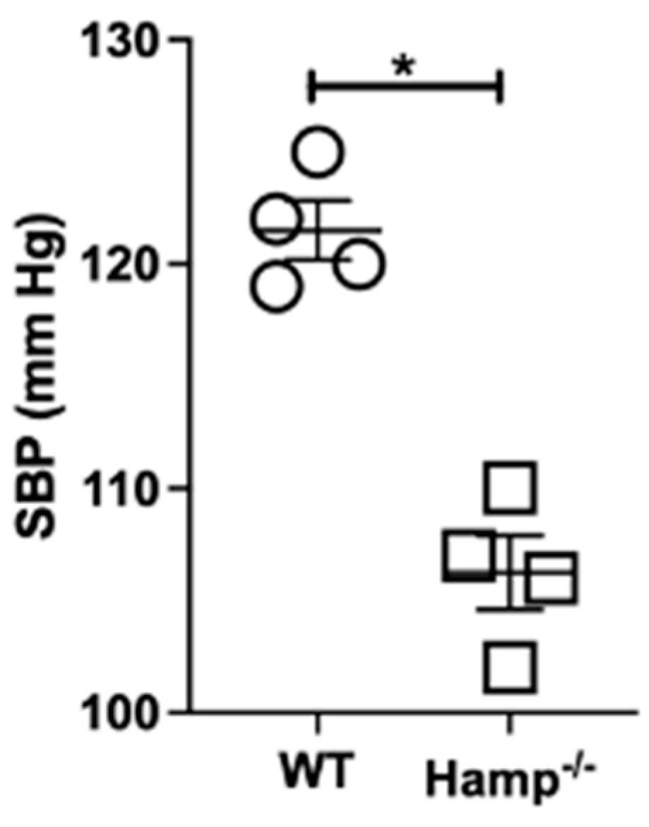 Biology 11 00123 g008
