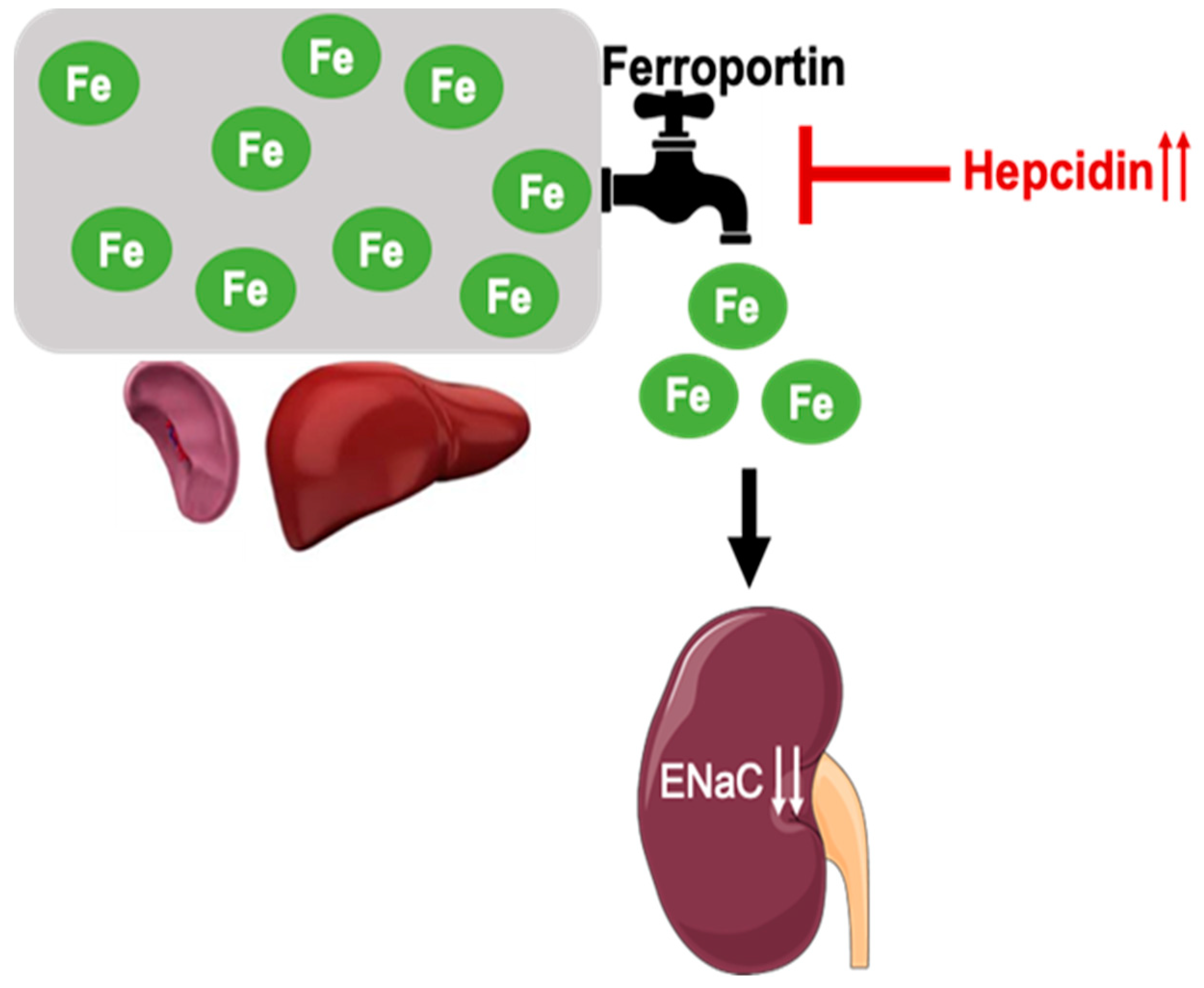 Biology 11 00123 g009
