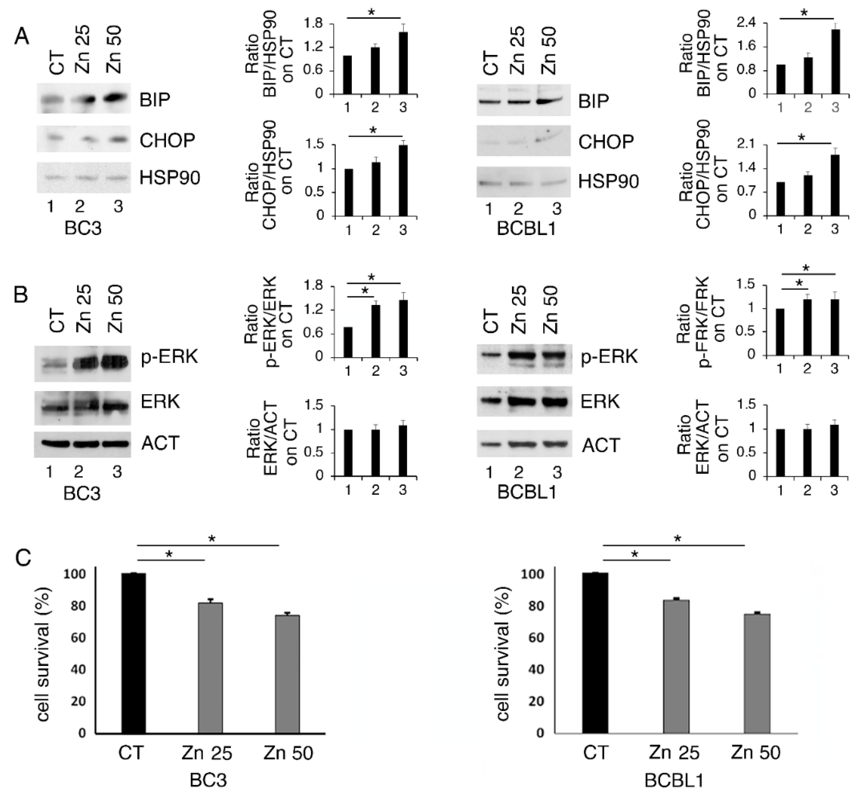 Biology 11 00132 g001