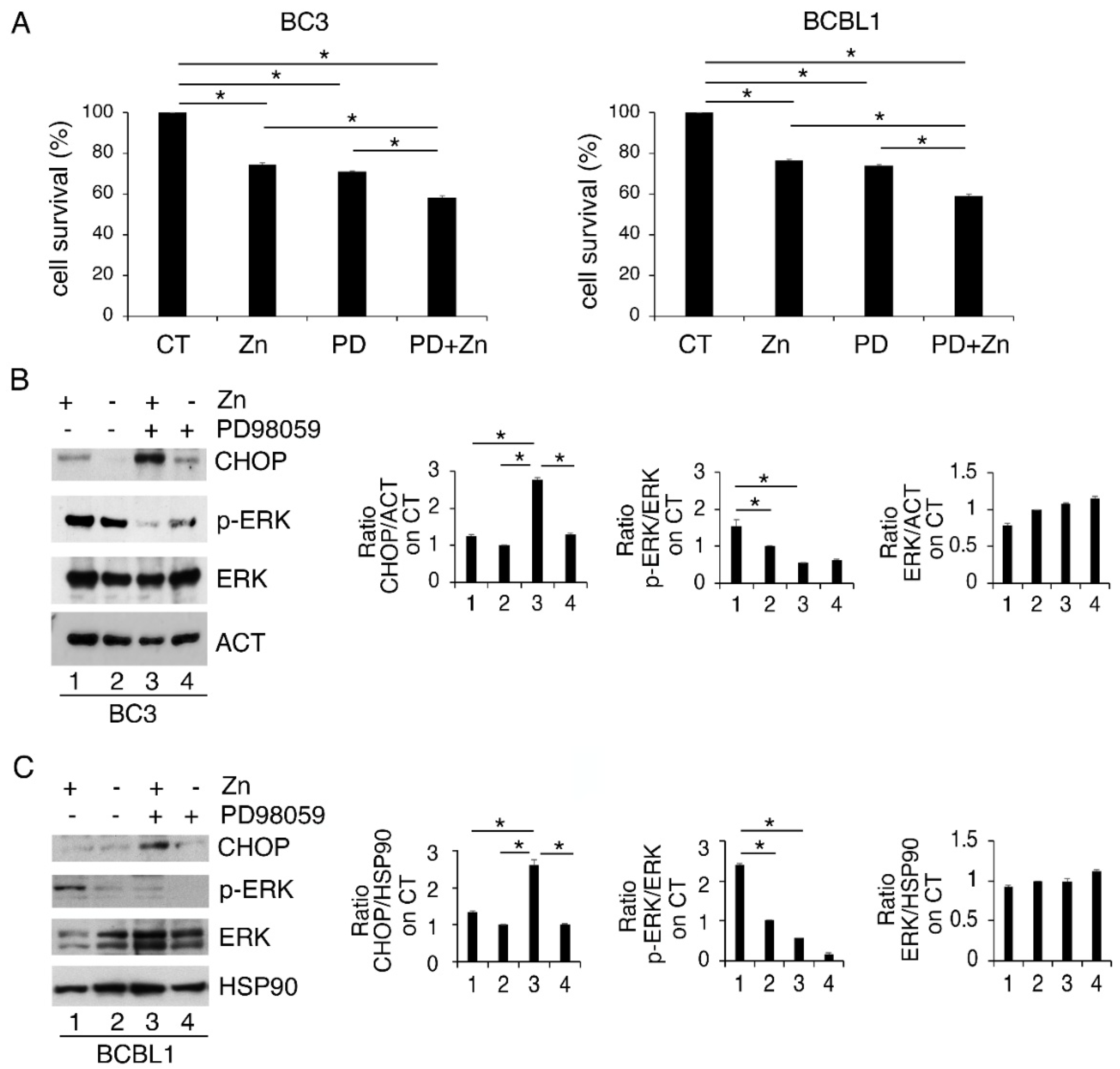 Biology 11 00132 g002