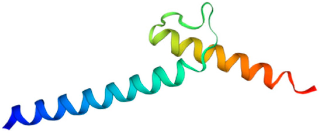 Biology 11 00136 g001