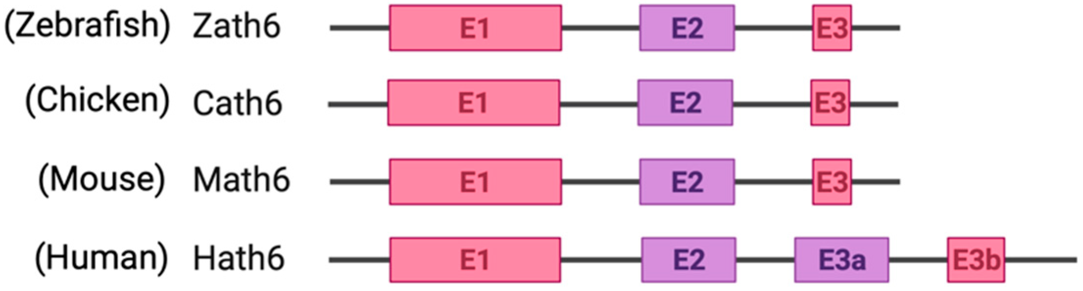 Biology 11 00136 g002