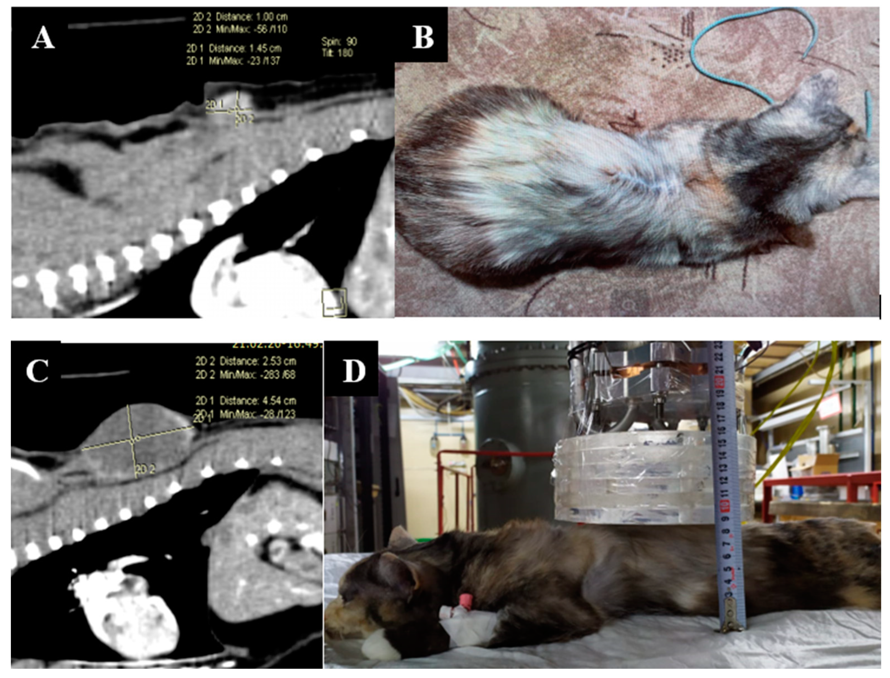 Biology 11 00138 g003