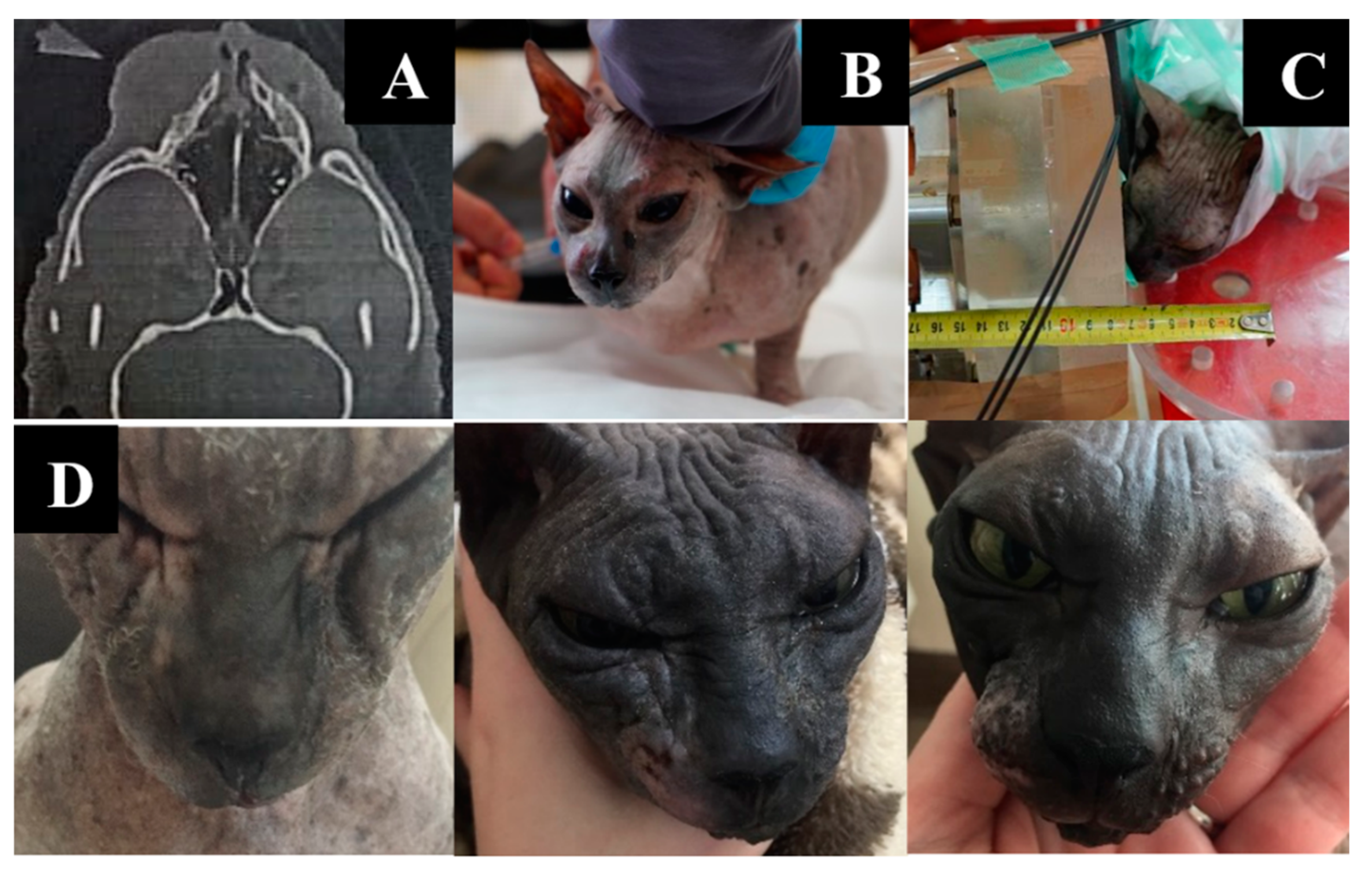 Biology 11 00138 g006