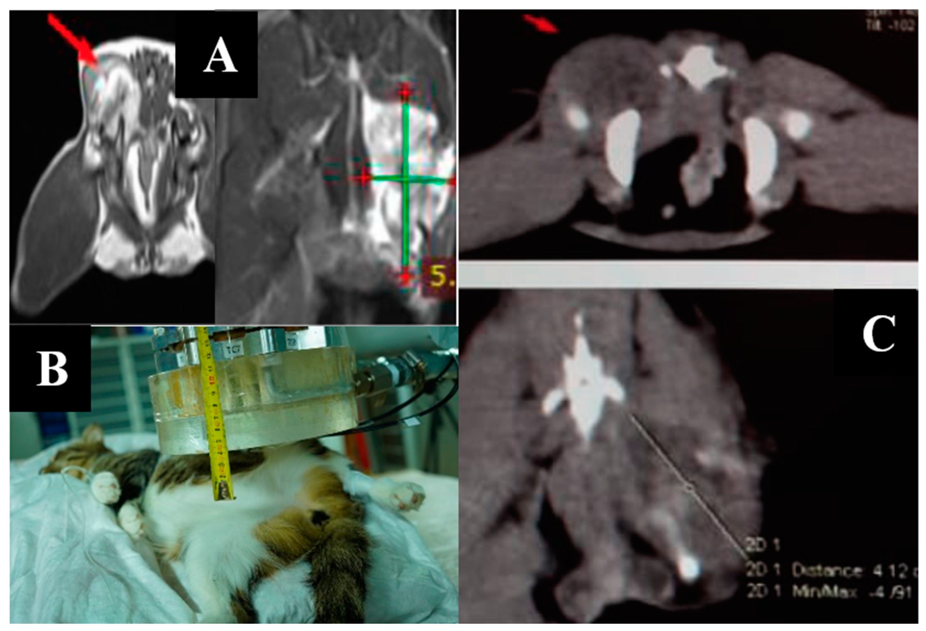 Biology 11 00138 g007