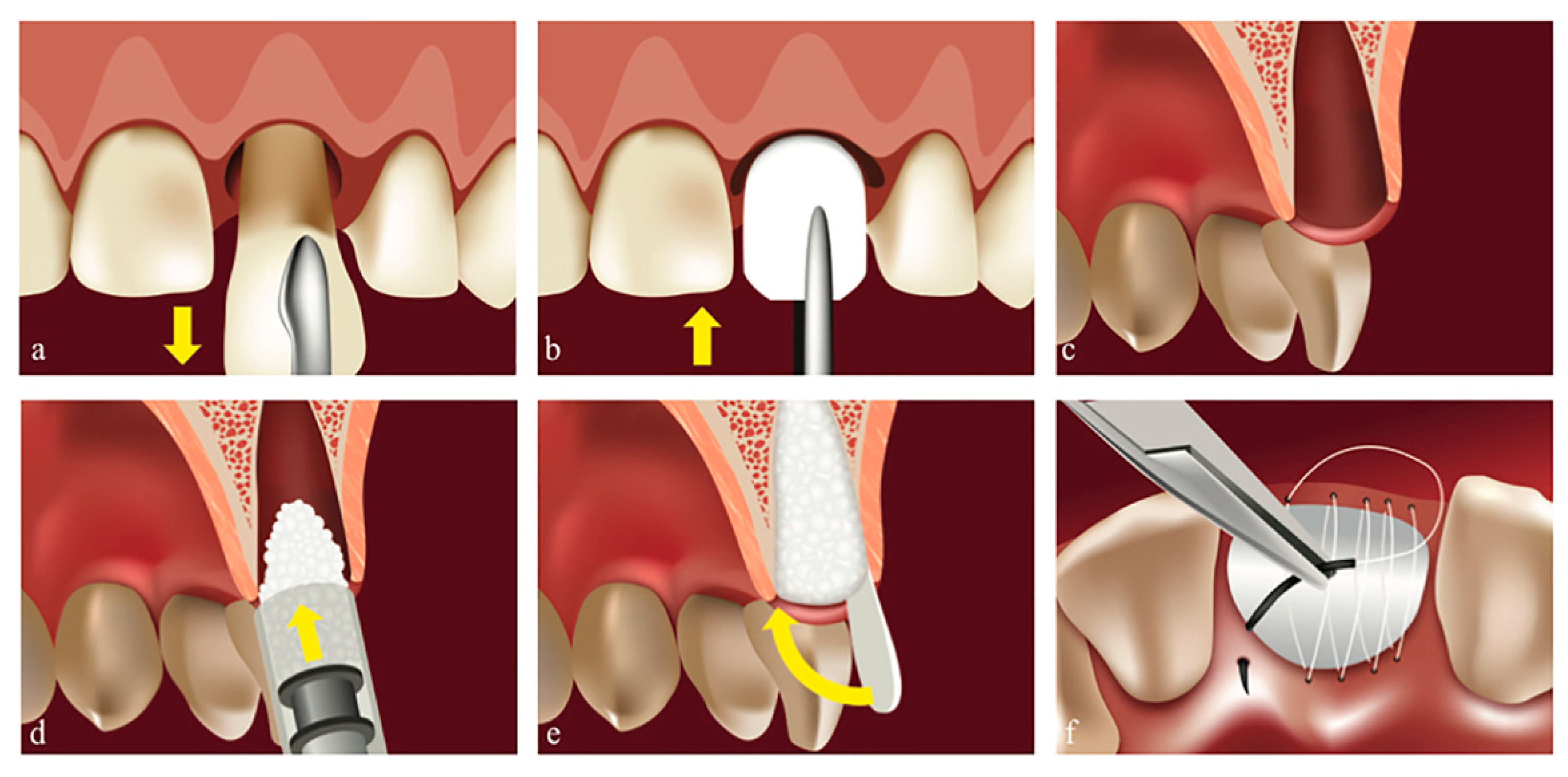 Biology 11 00142 g002