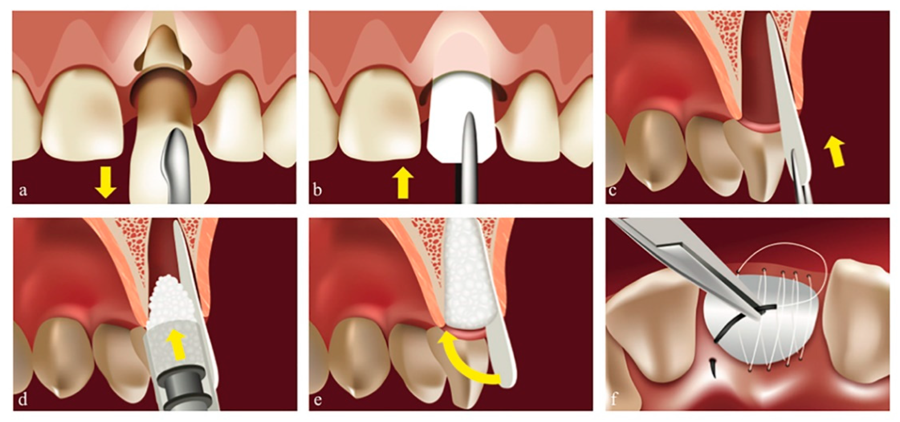 Biology 11 00142 g003