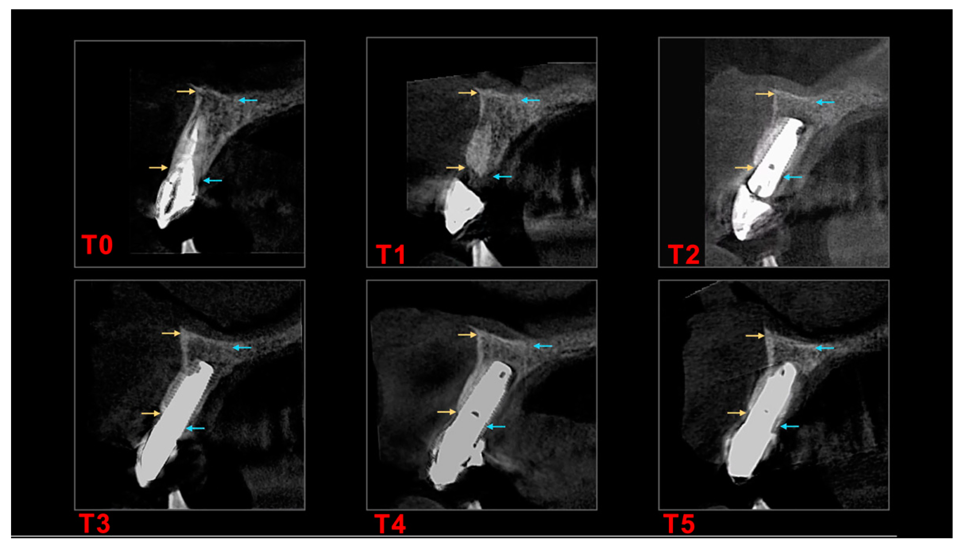 Biology 11 00142 g004