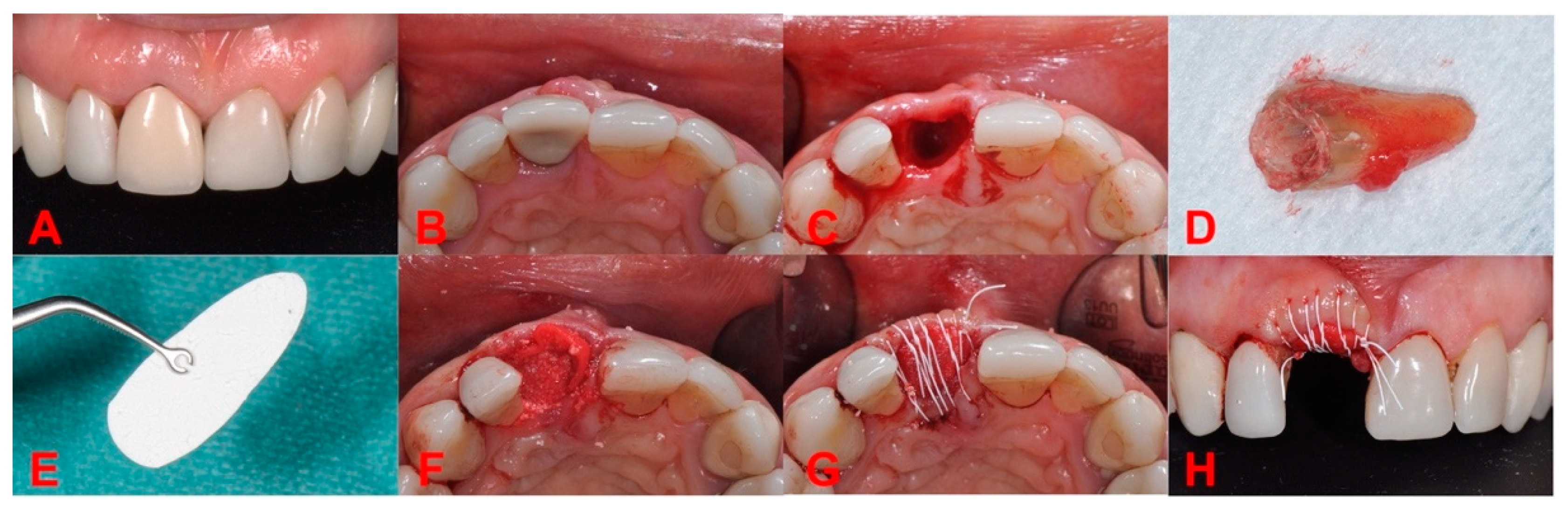 Biology 11 00142 g005