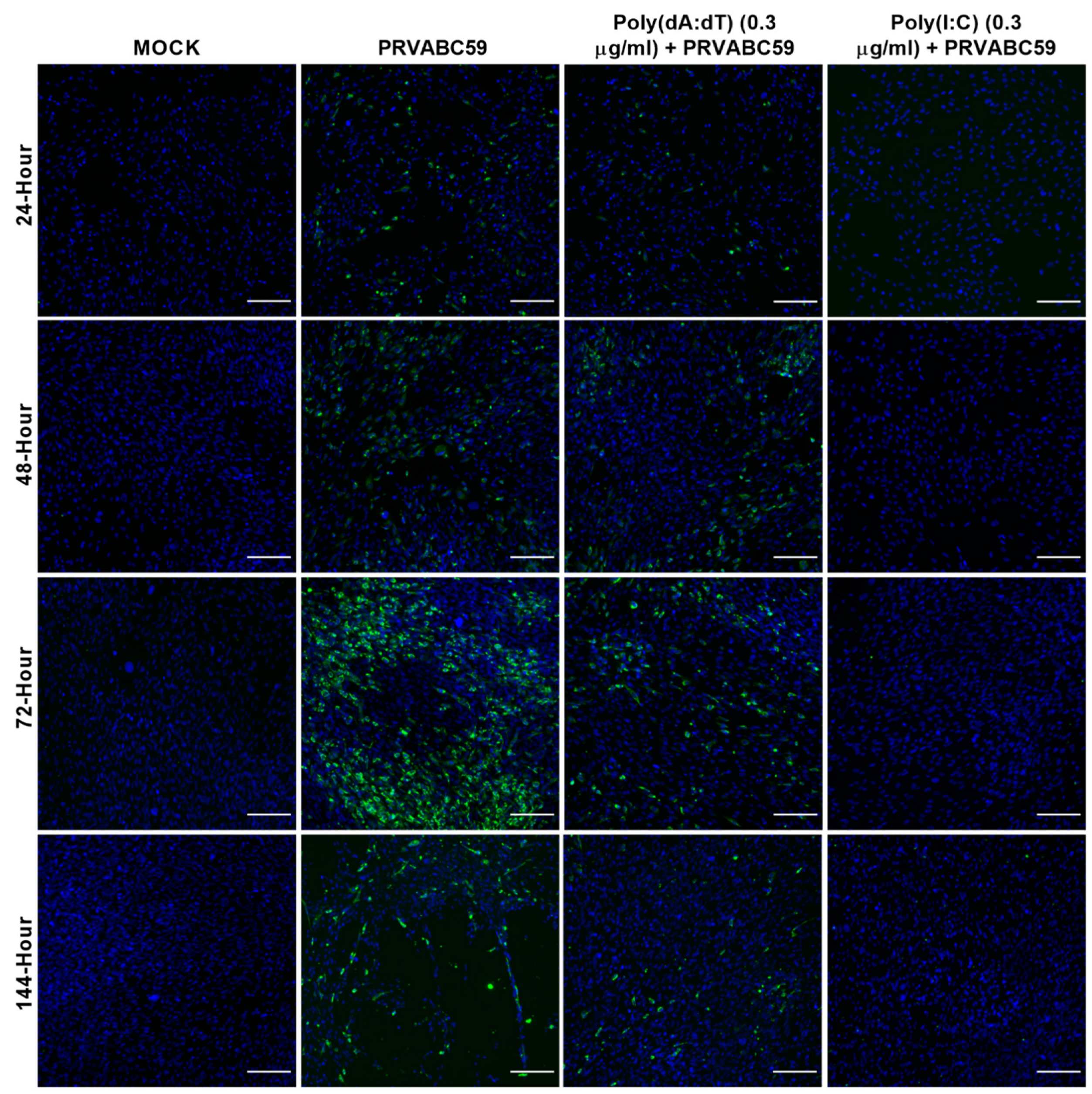 Biology 11 00143 g006
