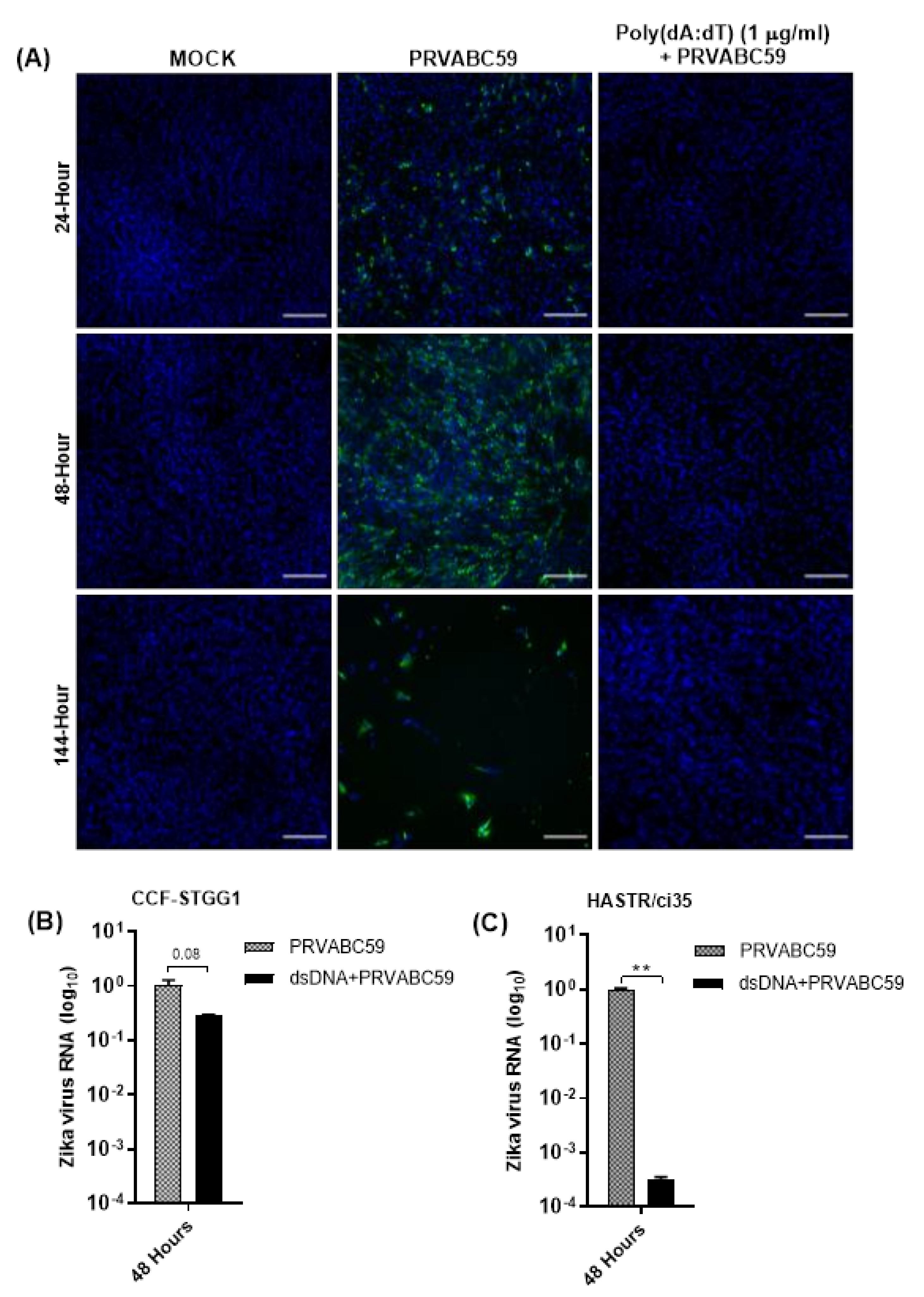 Biology 11 00143 g007