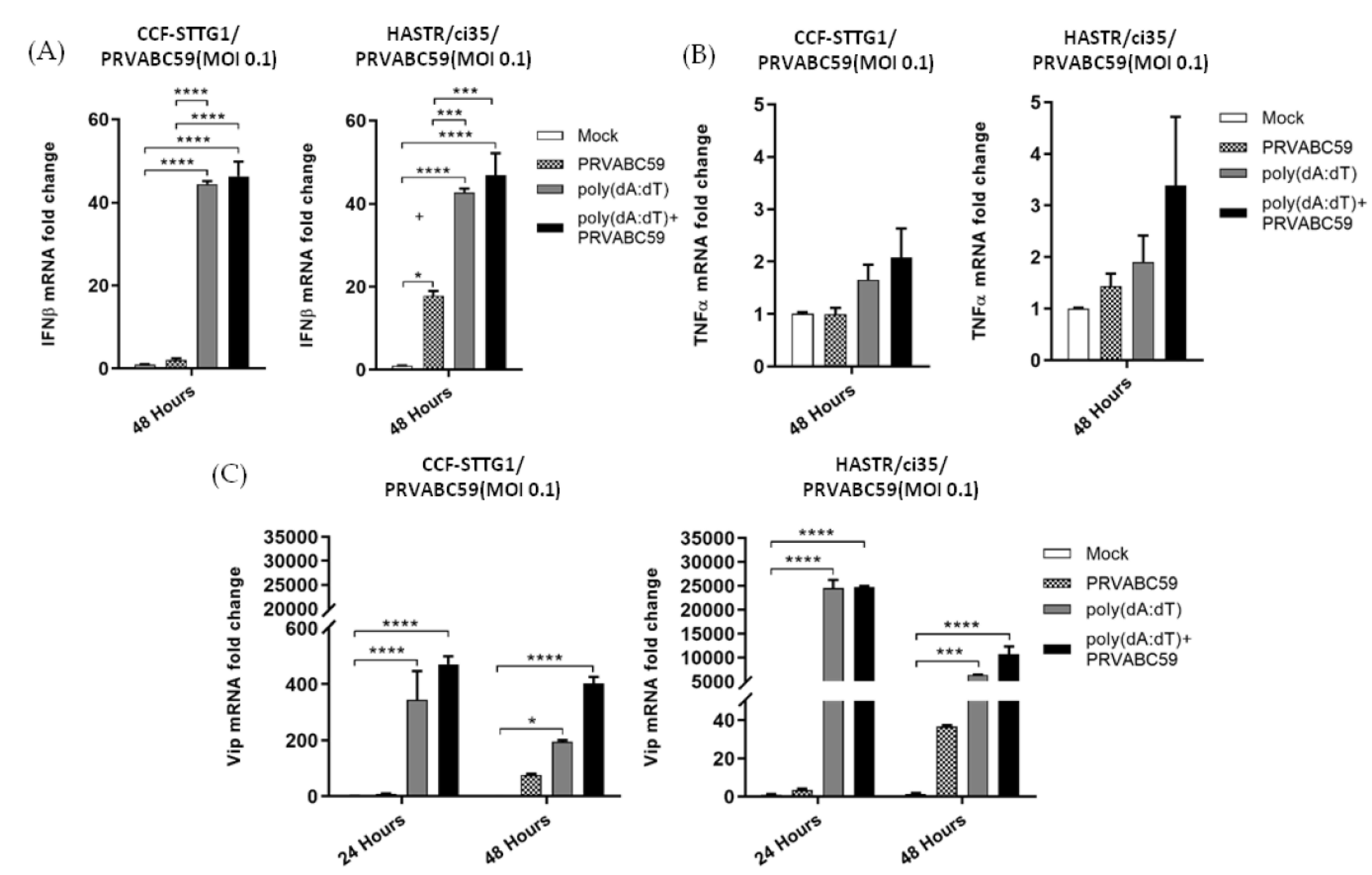 Biology 11 00143 g008
