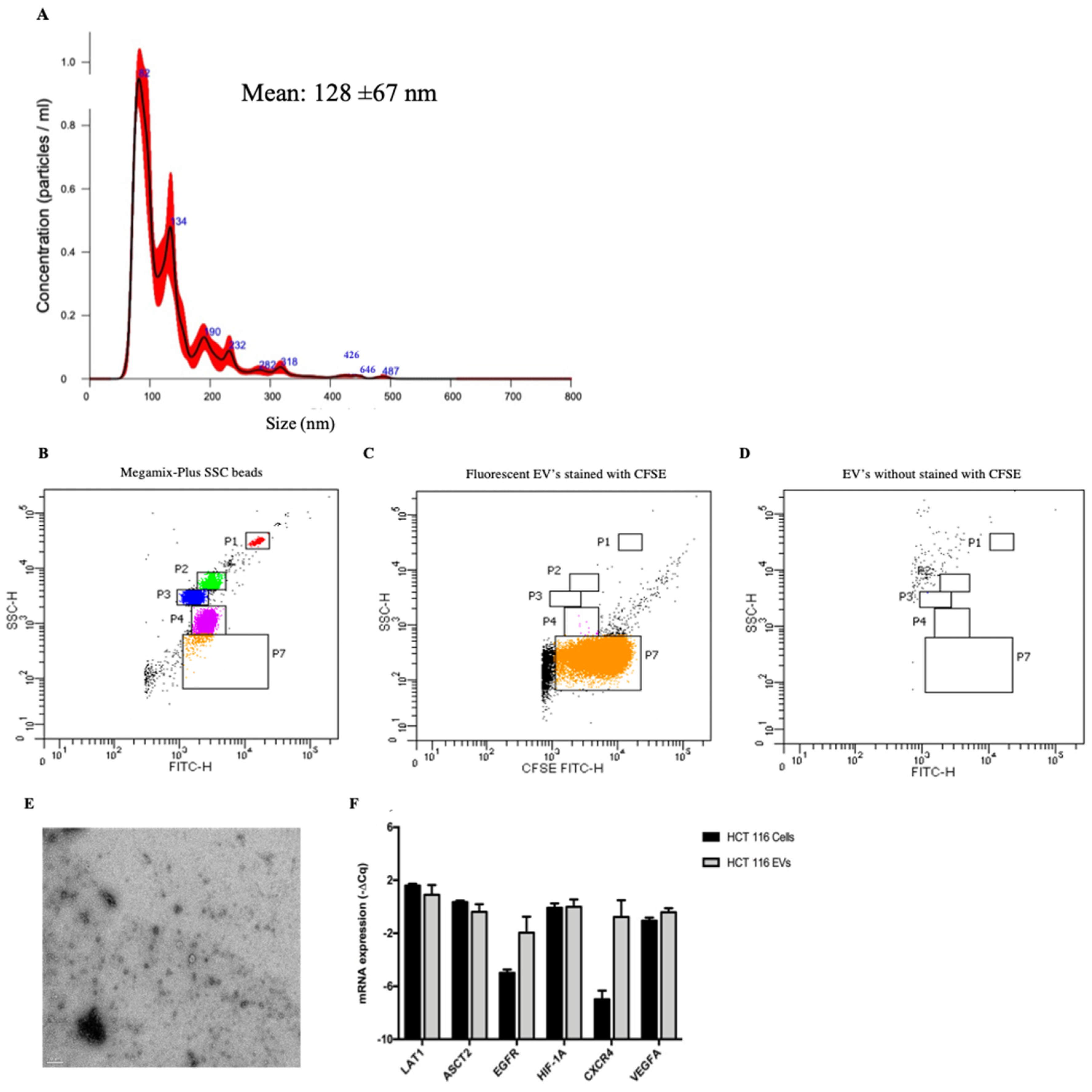 Biology 11 00145 g002