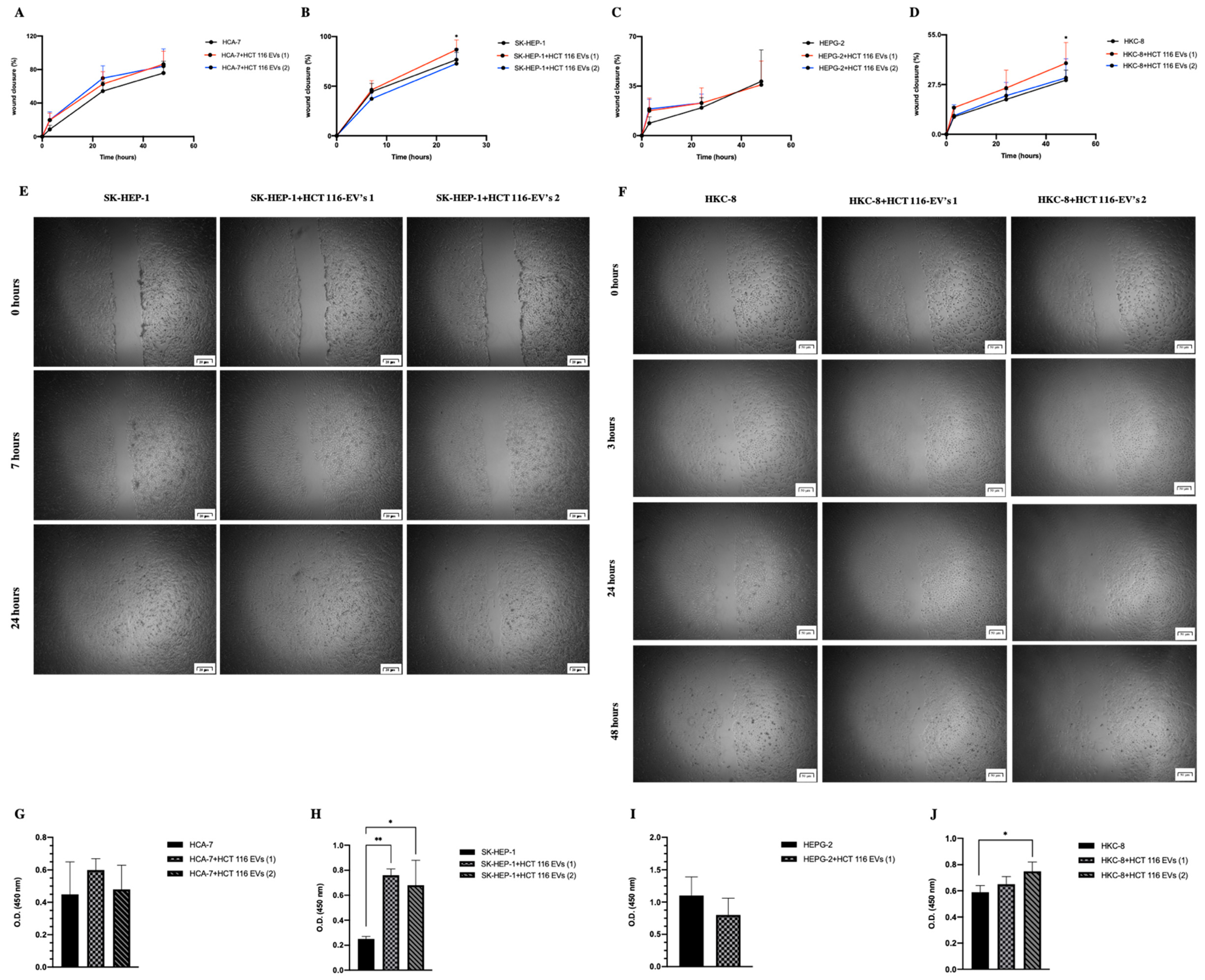 Biology 11 00145 g004