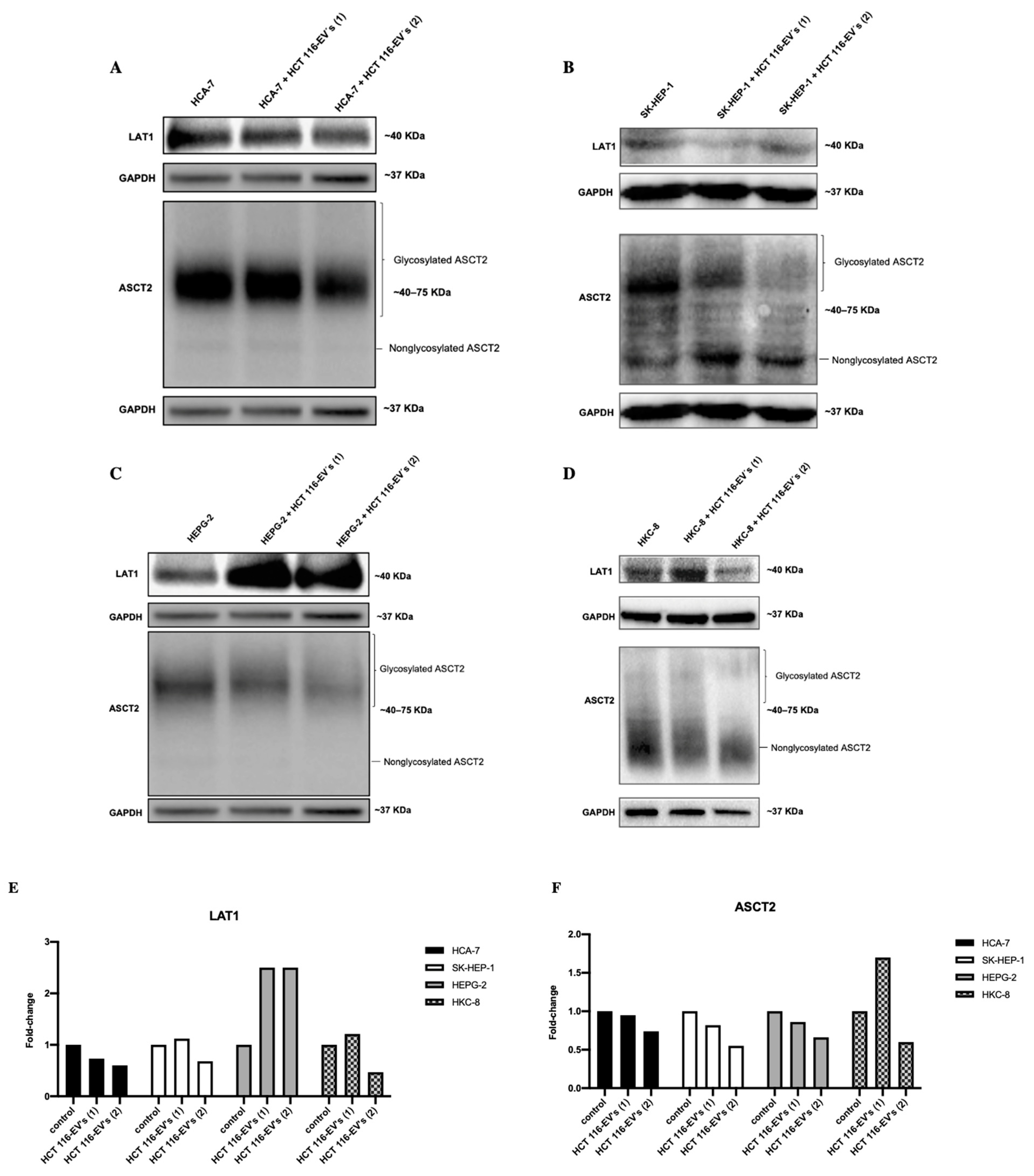 Biology 11 00145 g006