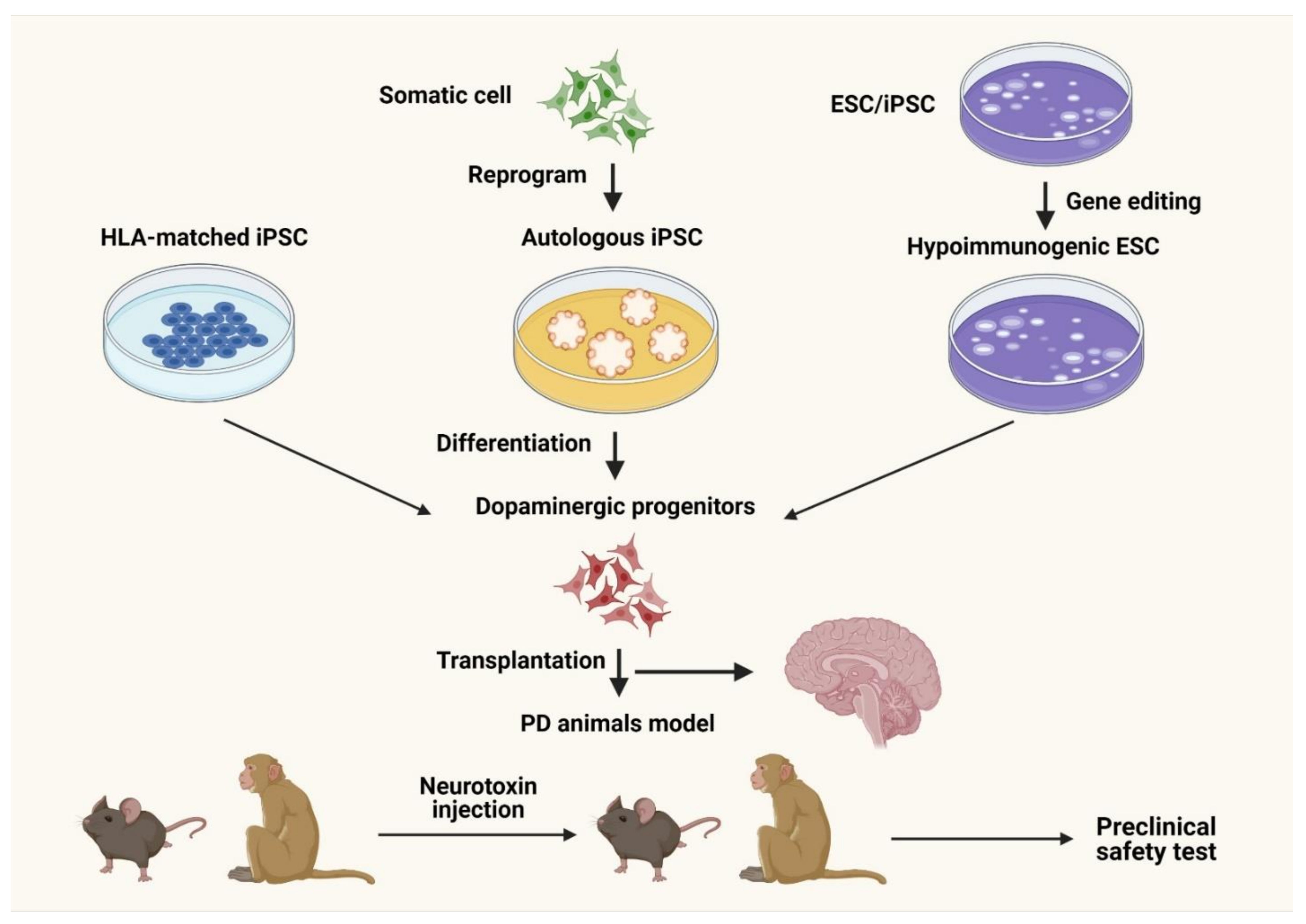 Biology 11 00147 g003 Biology 11 00147 g003