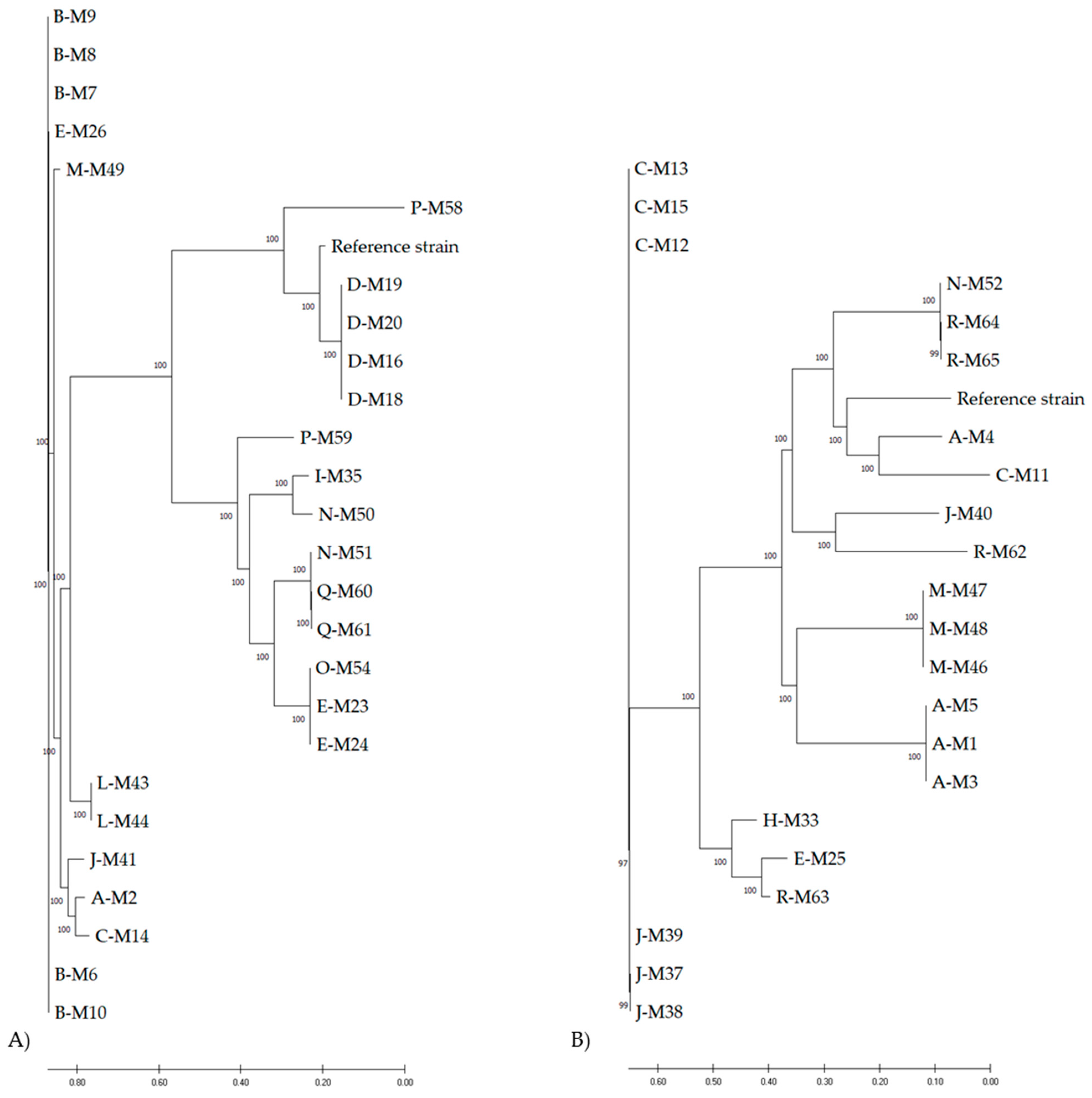 Biology 11 00152 g001