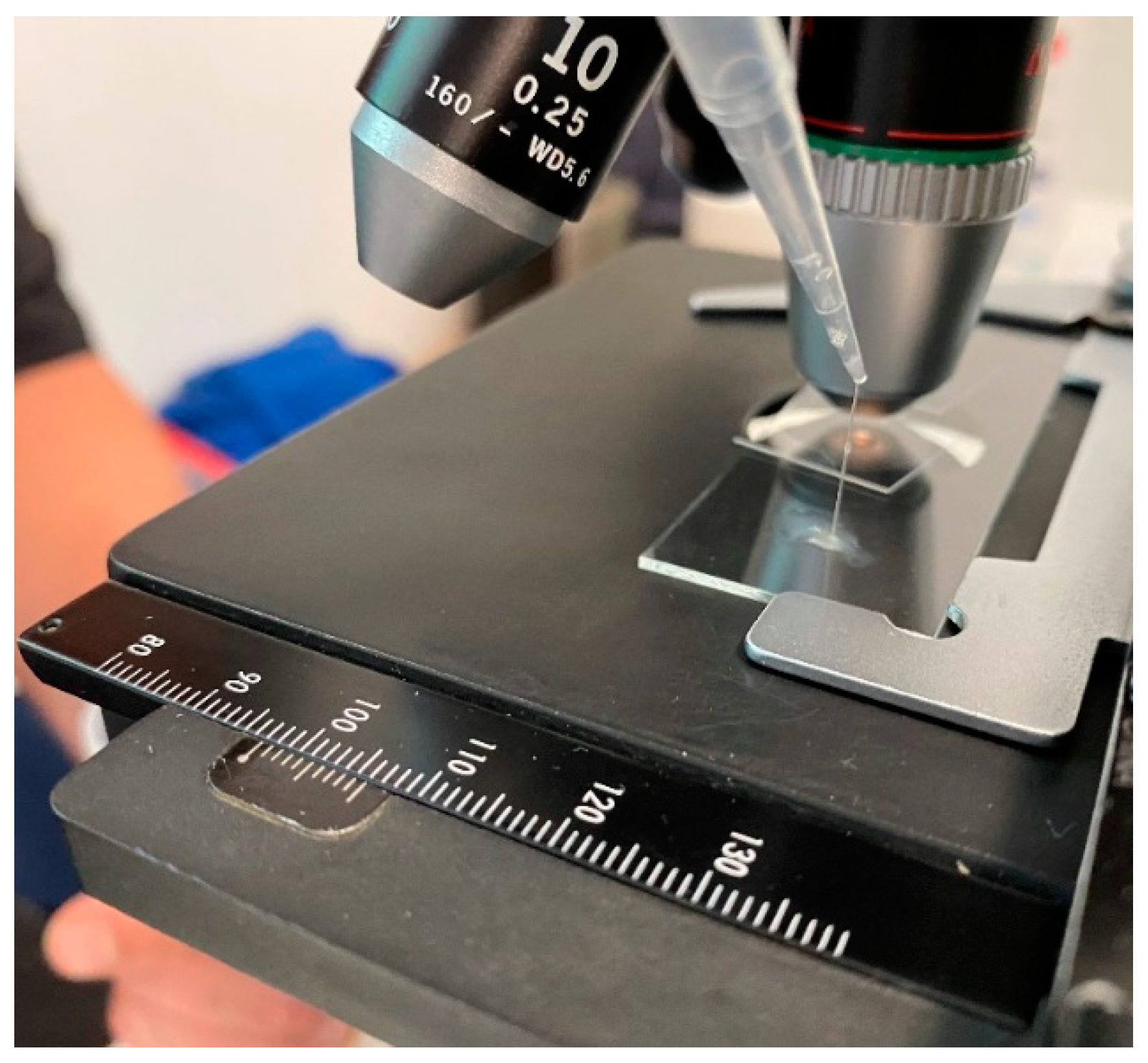 Biology 11 00154 g001