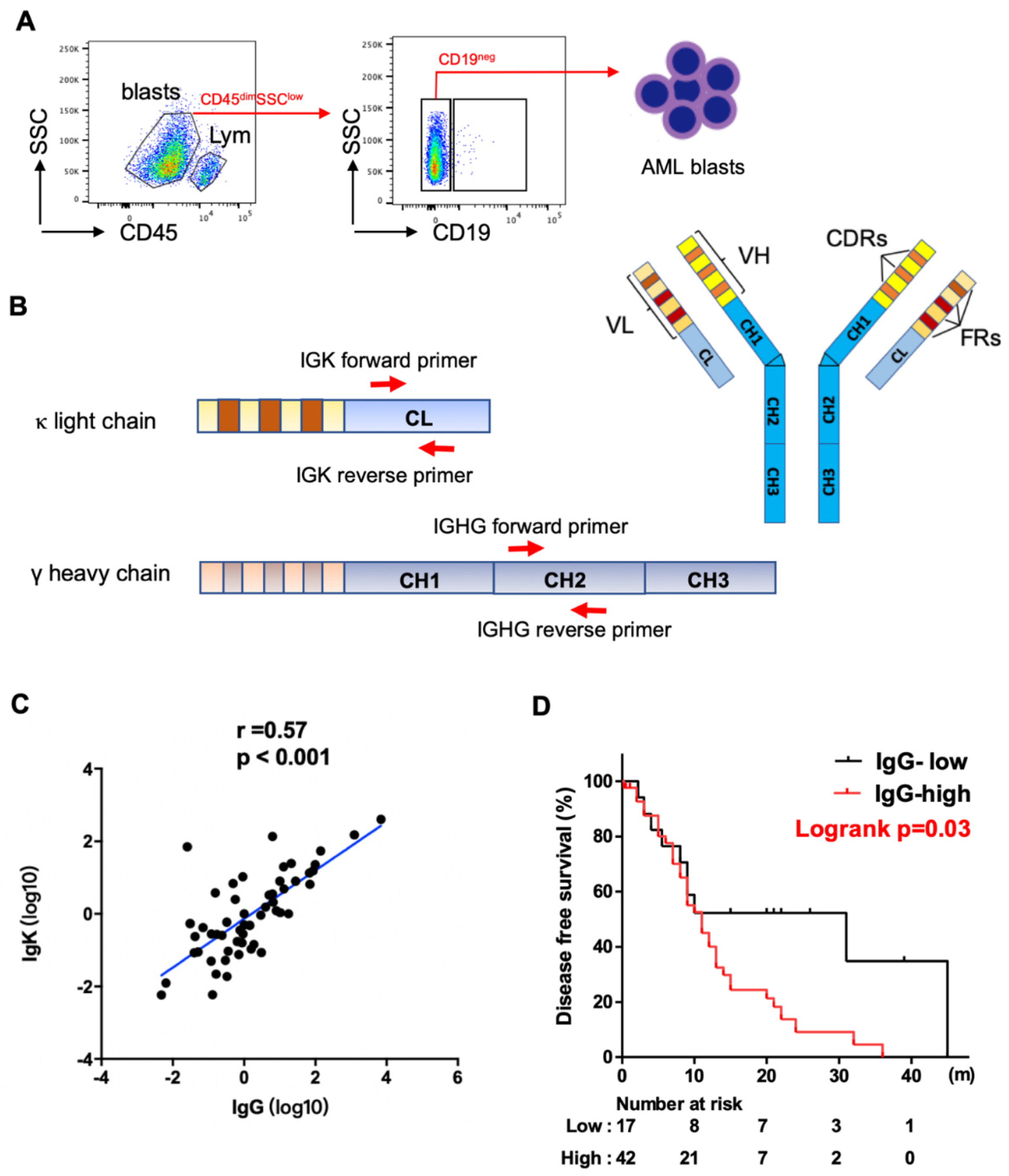 Biology 11 00161 g001