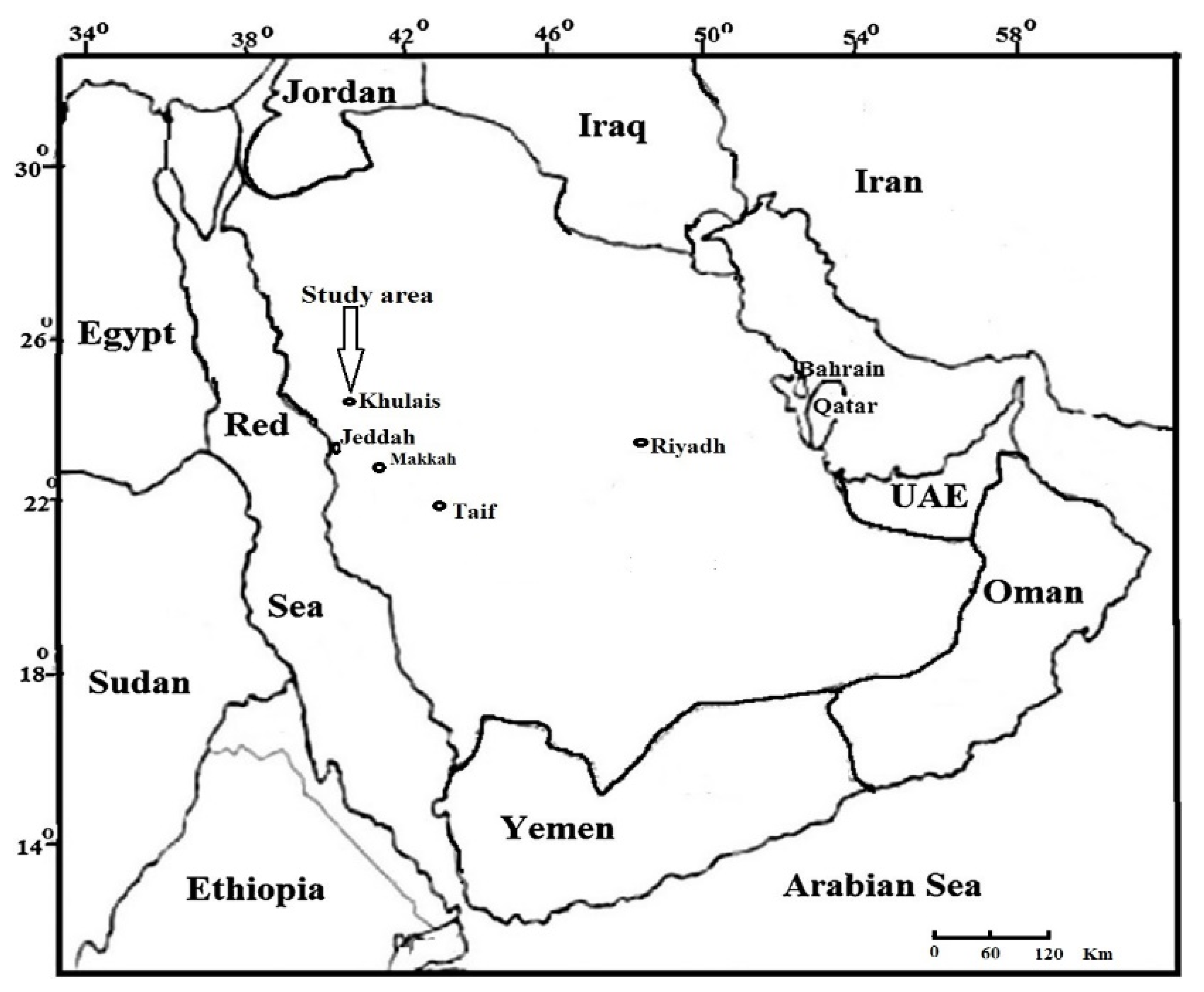Biology 11 00164 g001