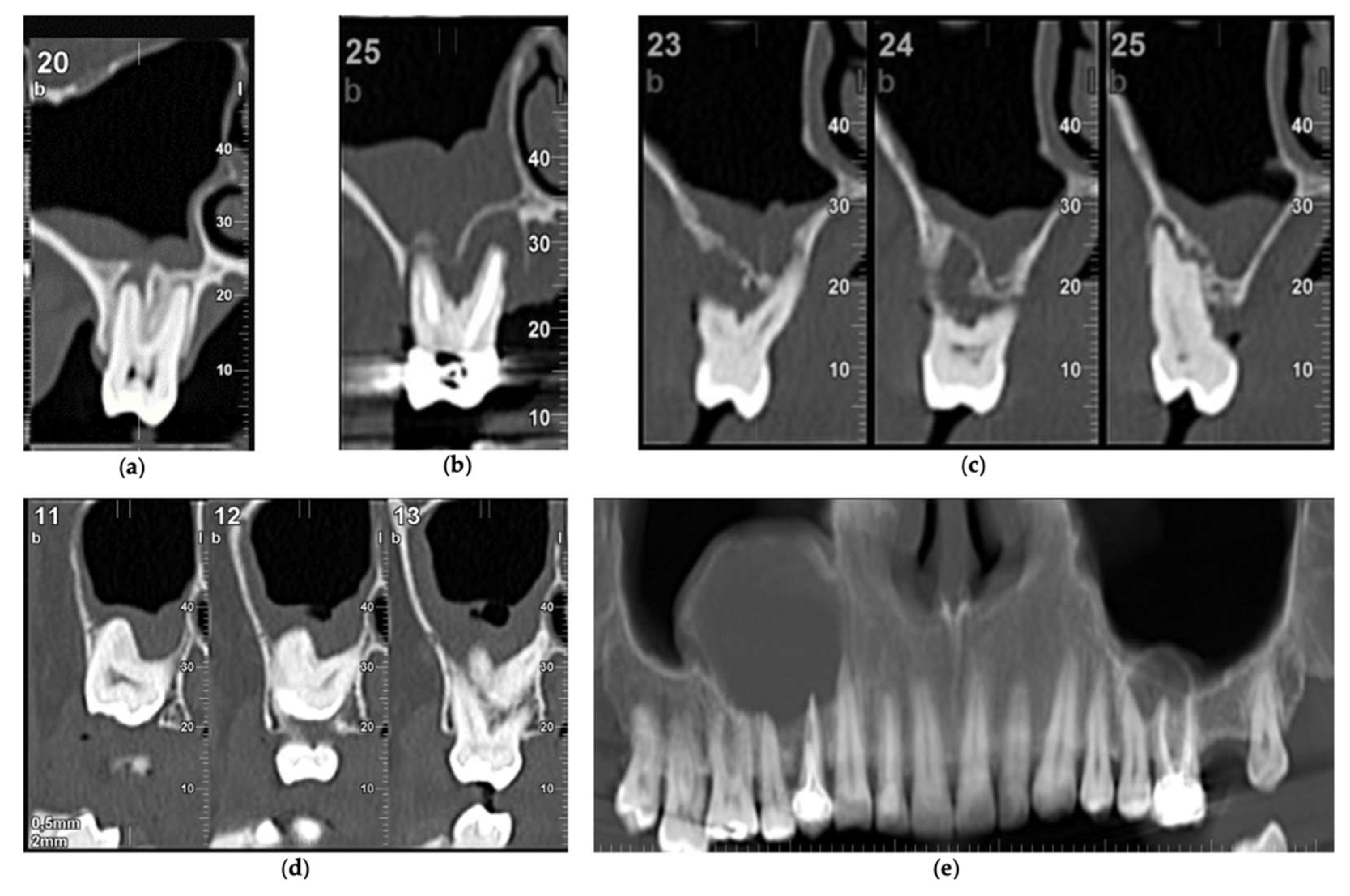 Biology 11 00165 g001