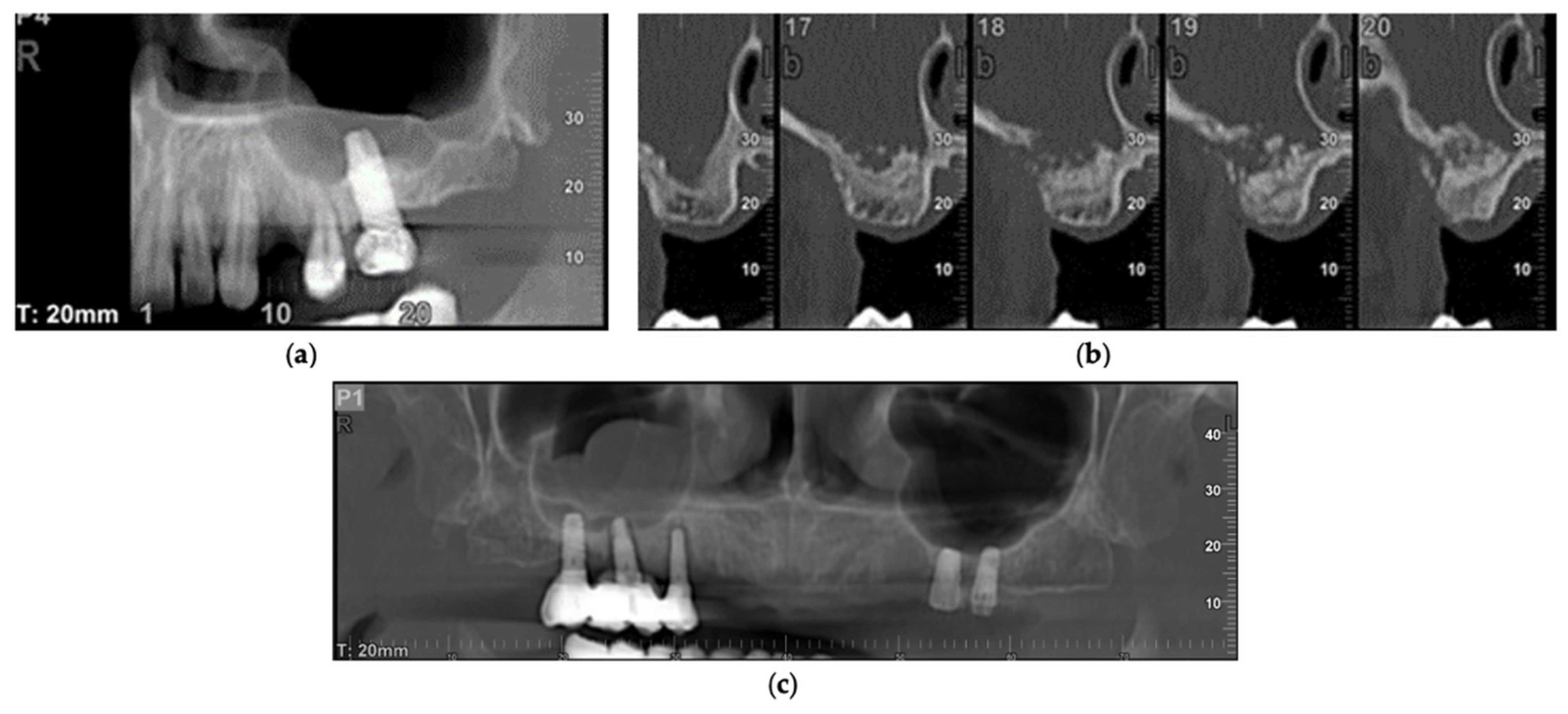 Biology 11 00165 g002