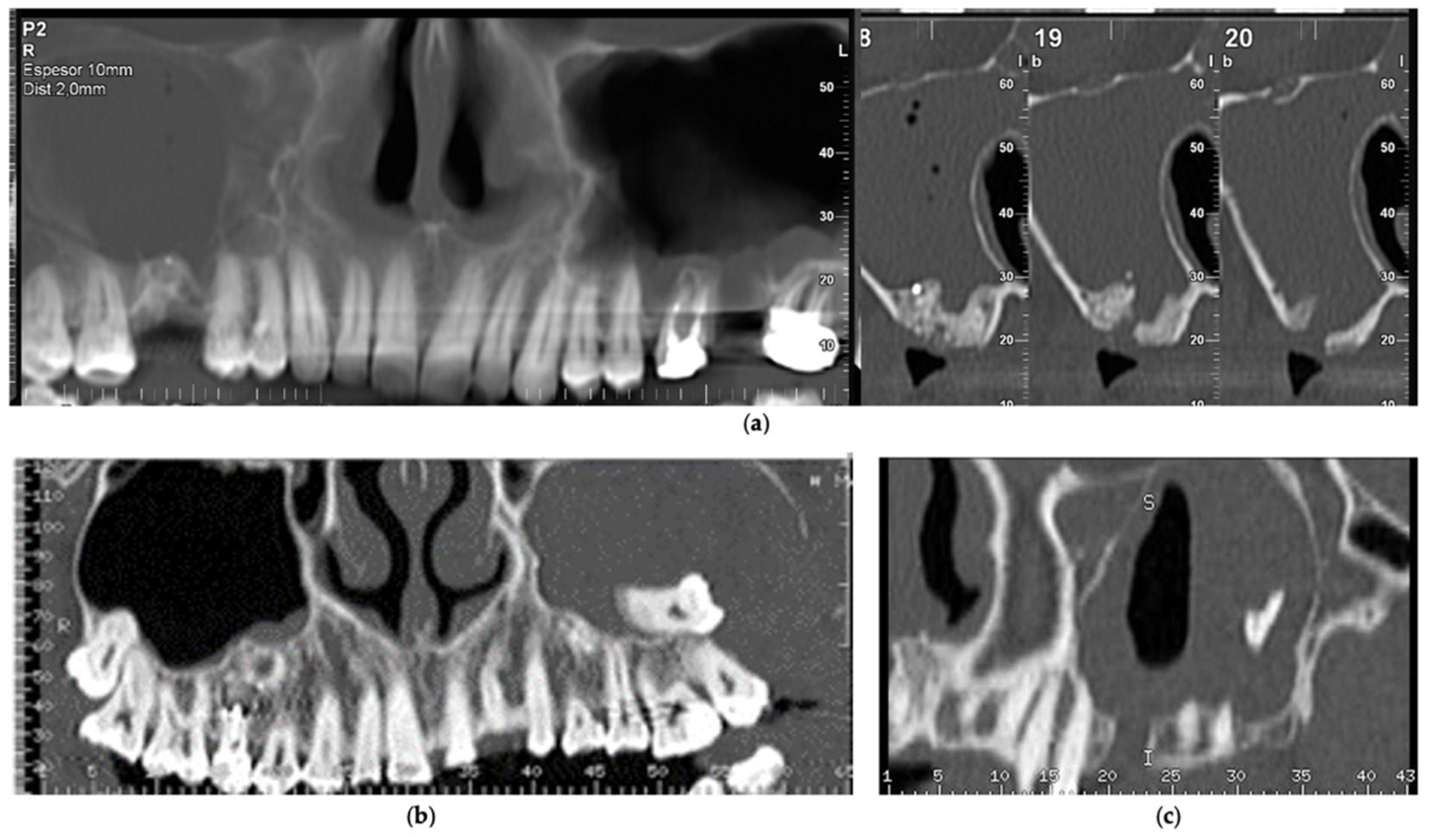 Biology 11 00165 g003