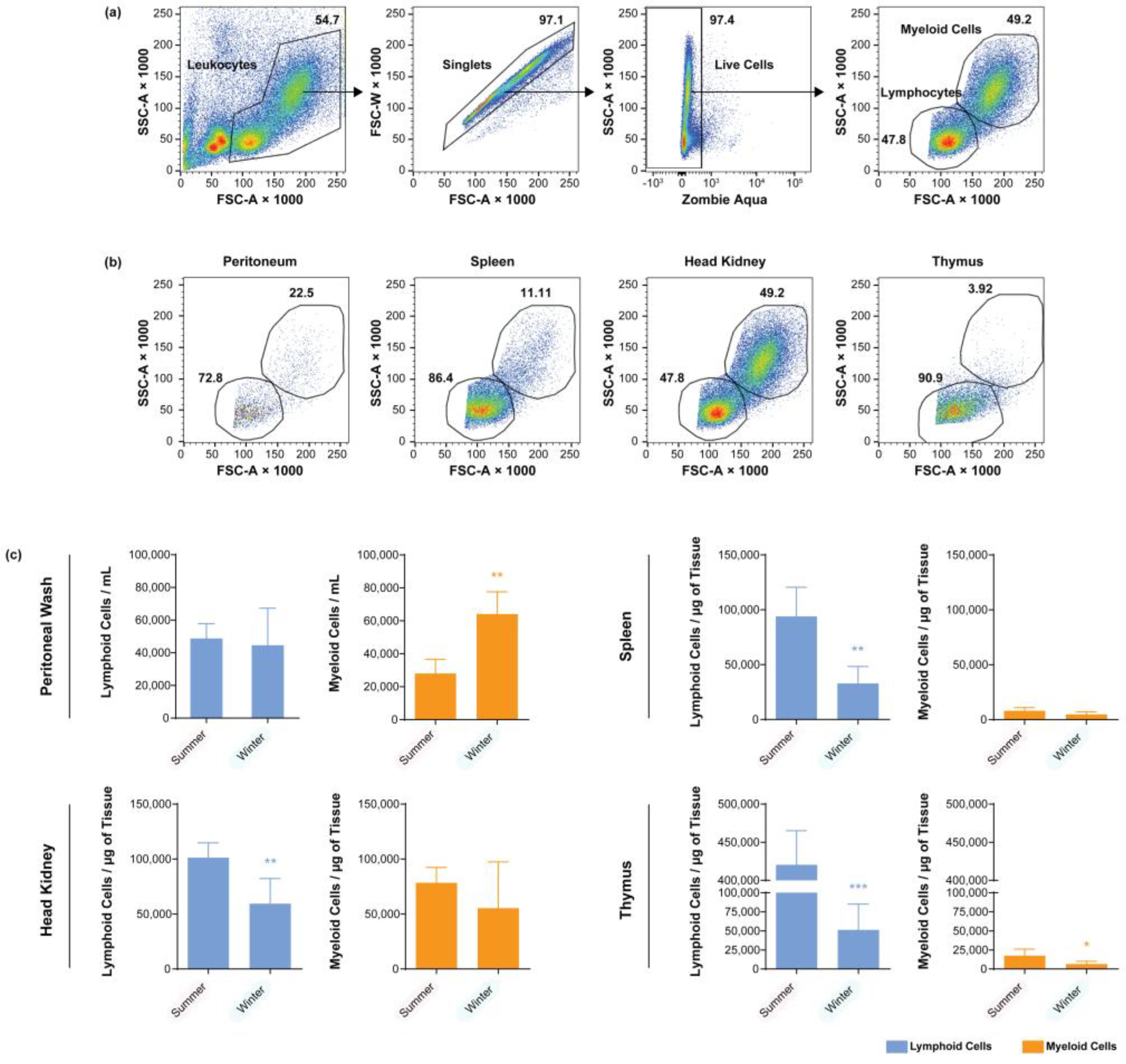 Biology 11 00174 g001