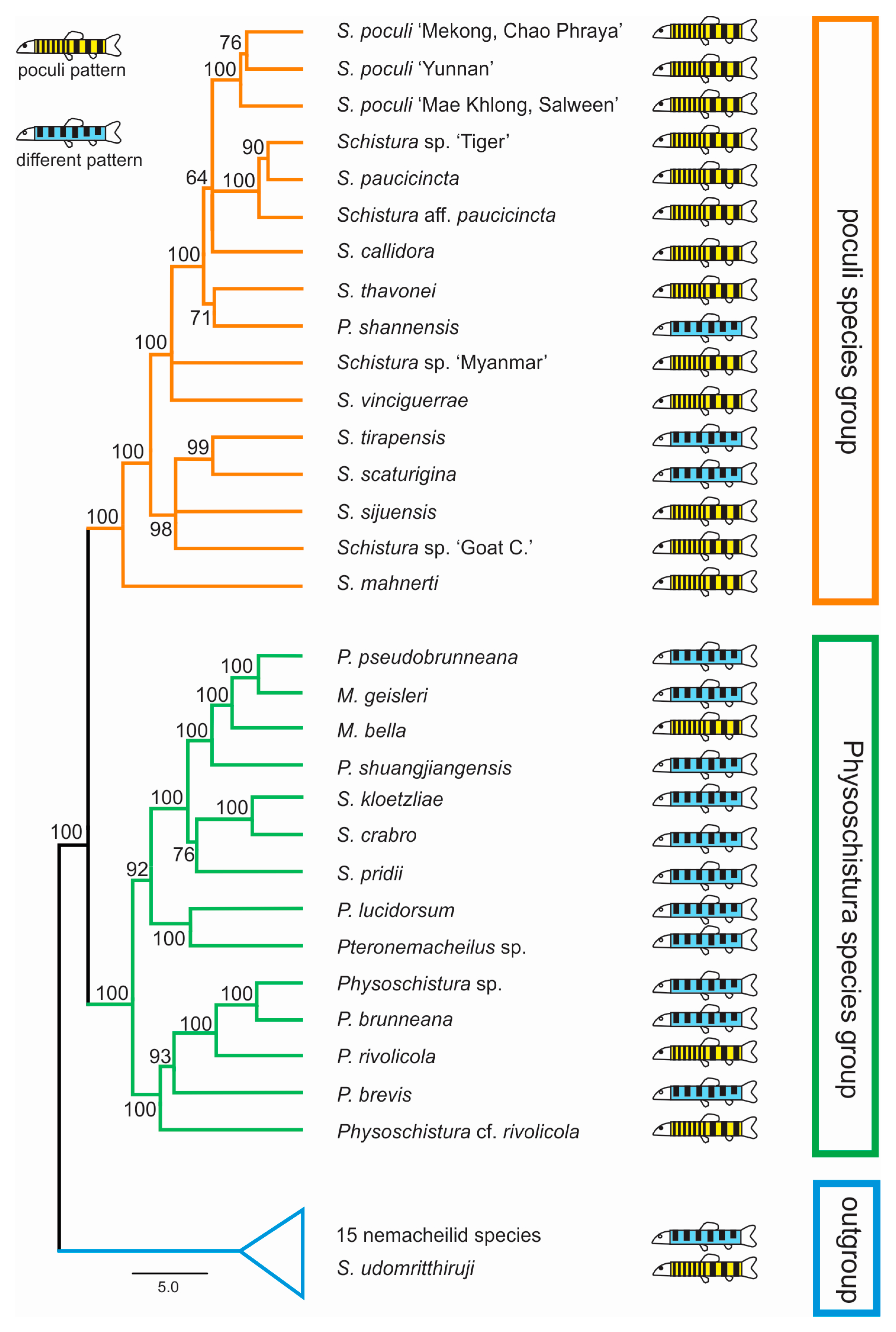 Biology 11 00175 g004