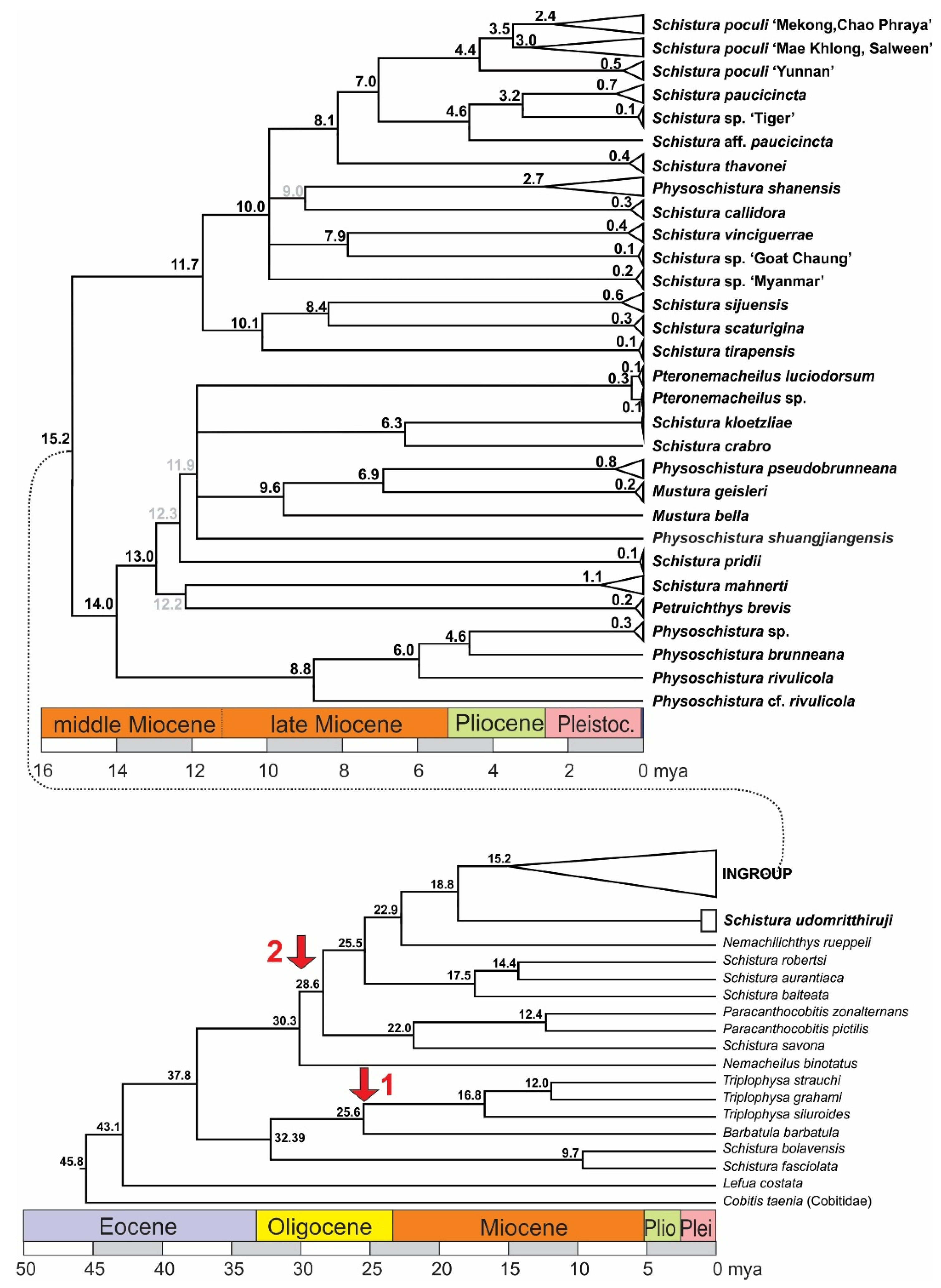 Biology 11 00175 g005
