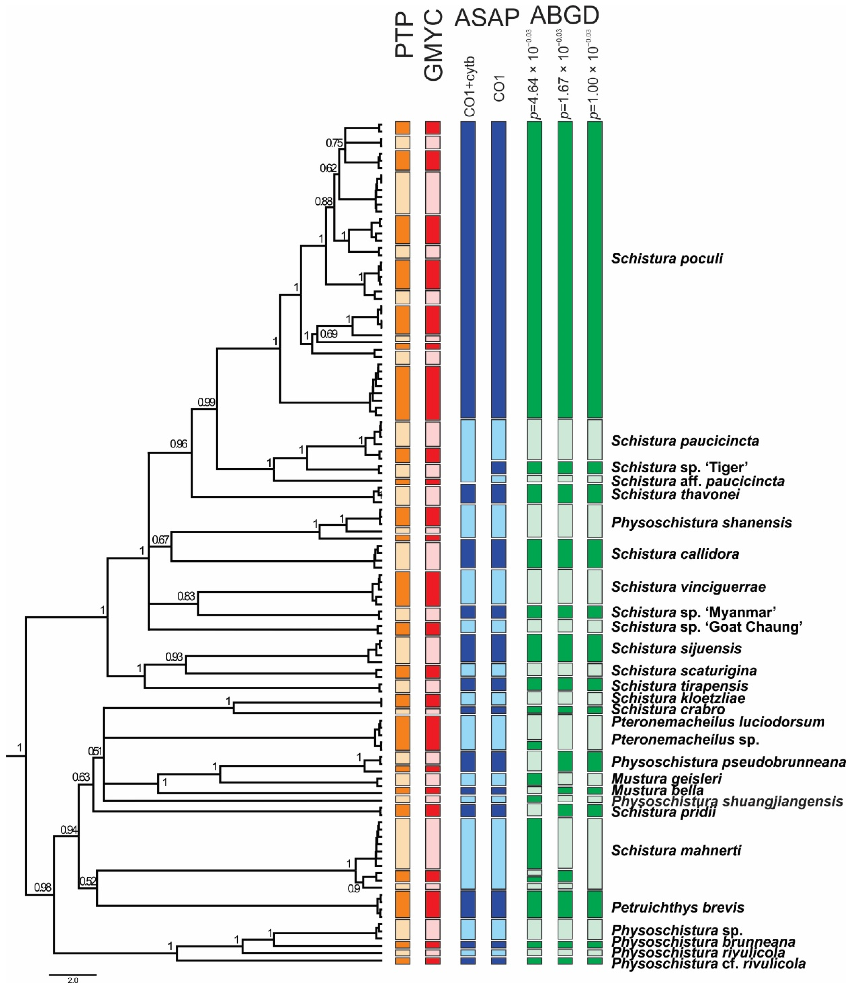Biology 11 00175 g006