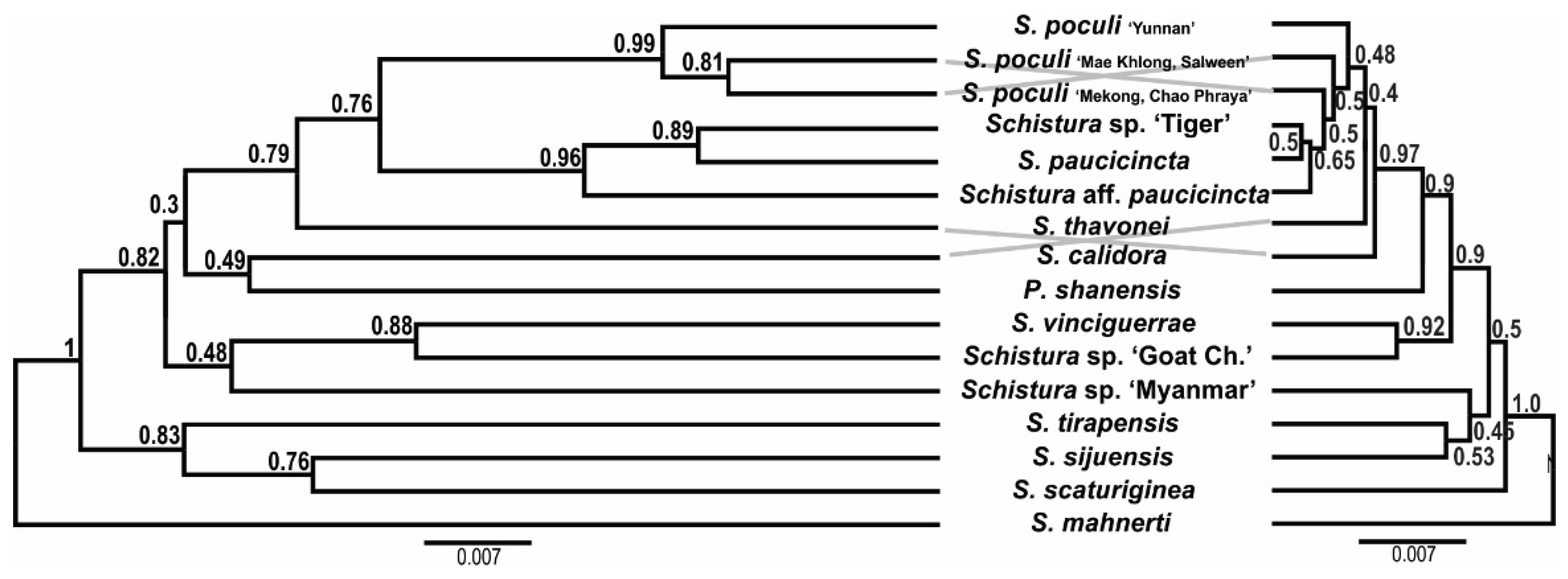 Biology 11 00175 g007