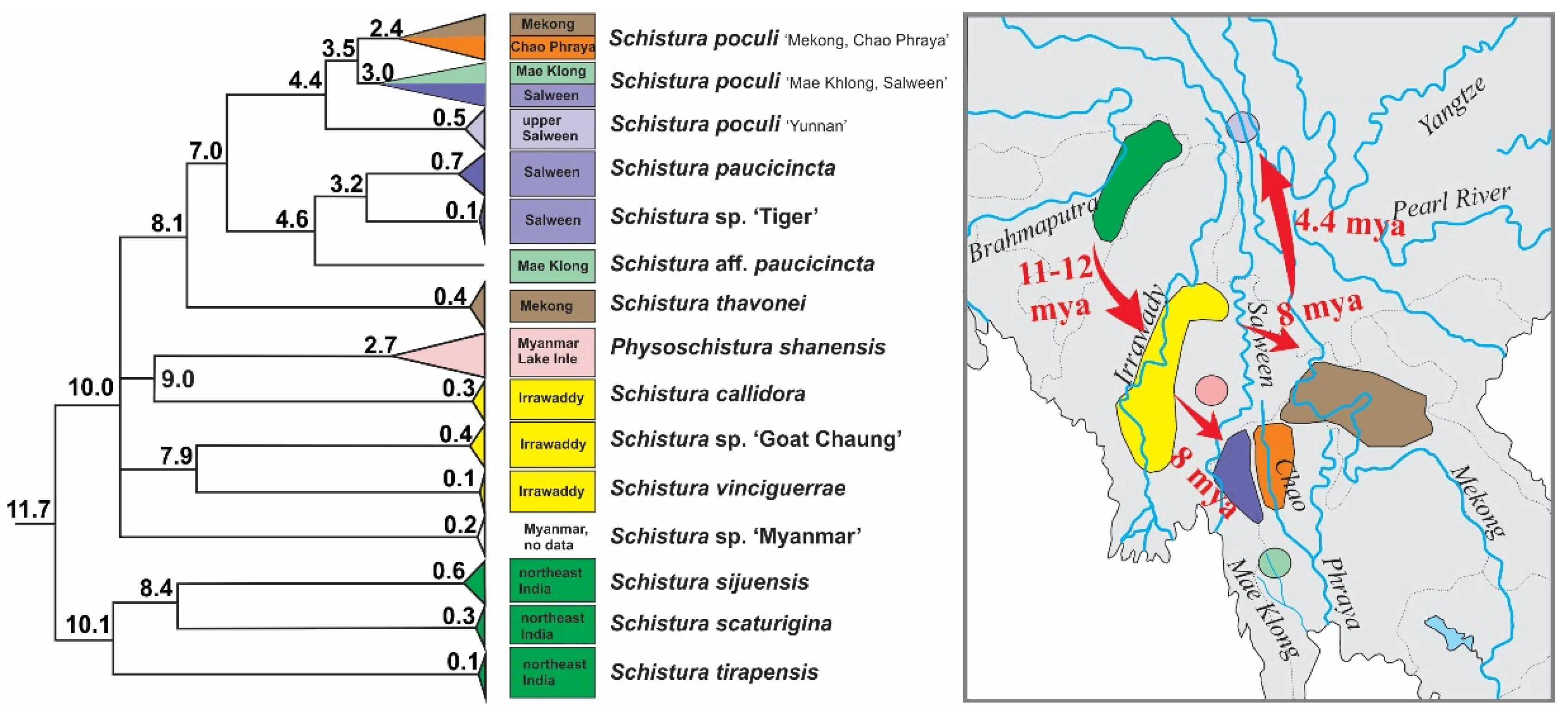 Biology 11 00175 g008