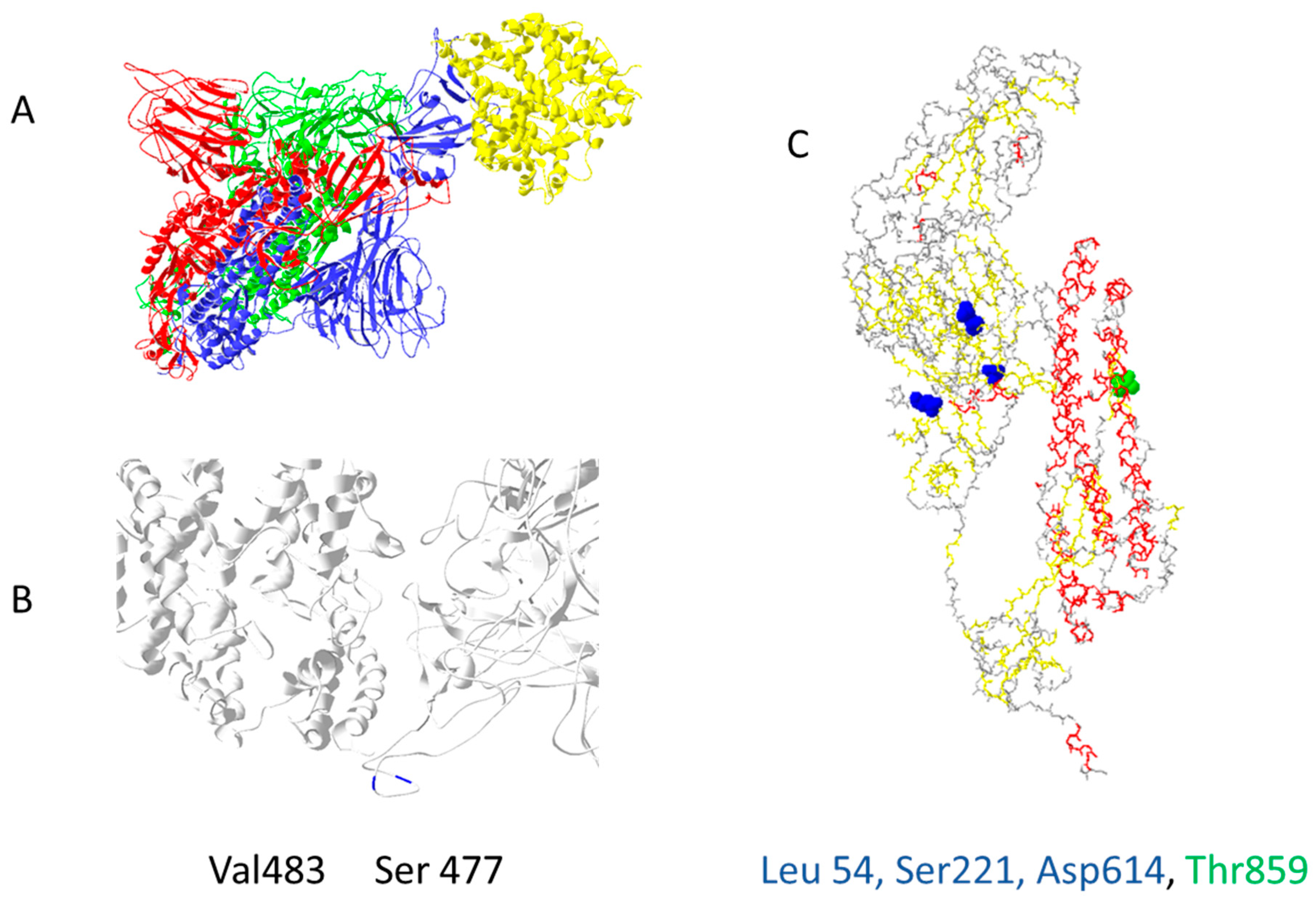 Biology 11 00178 g002