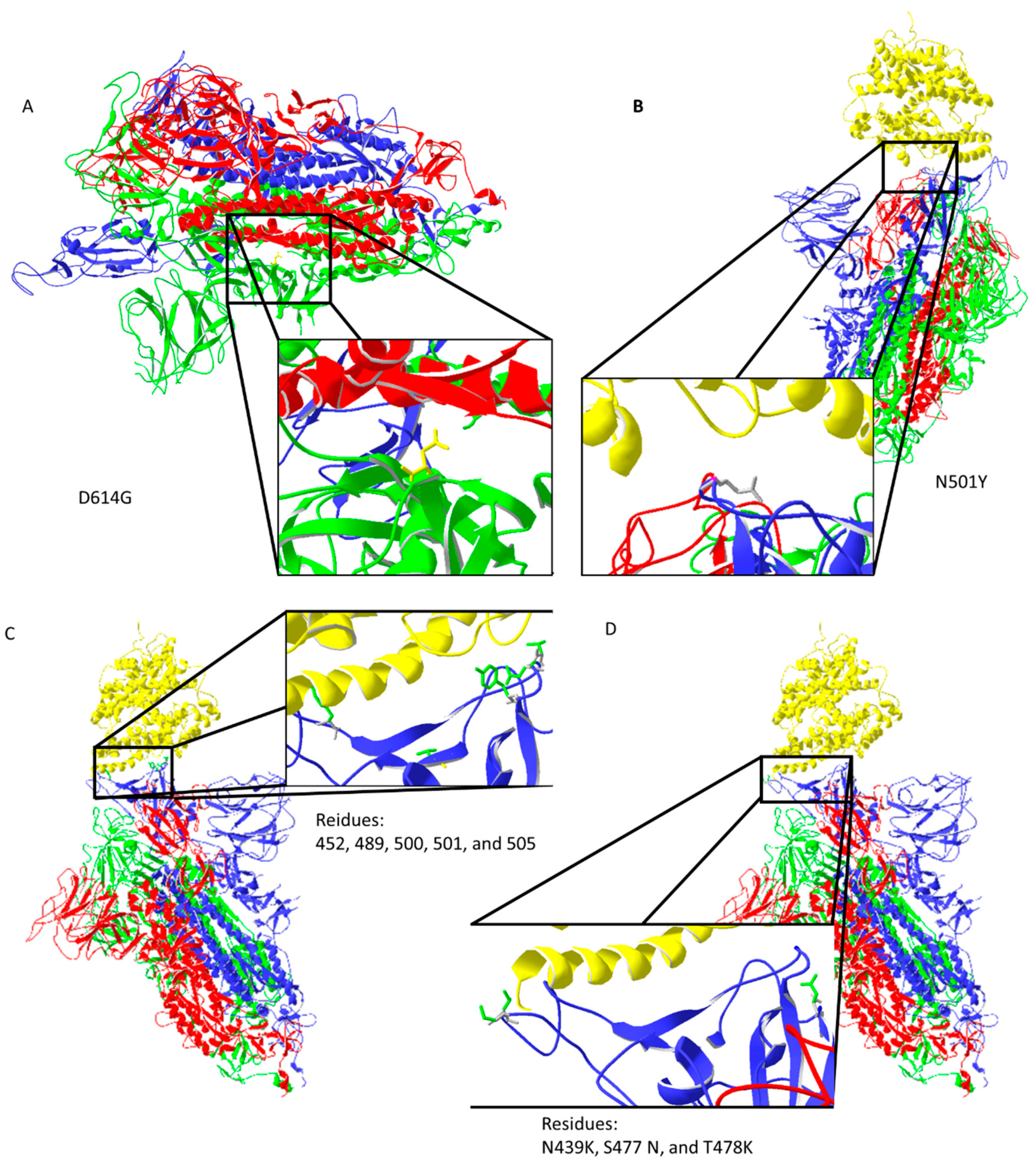 Biology 11 00178 g003