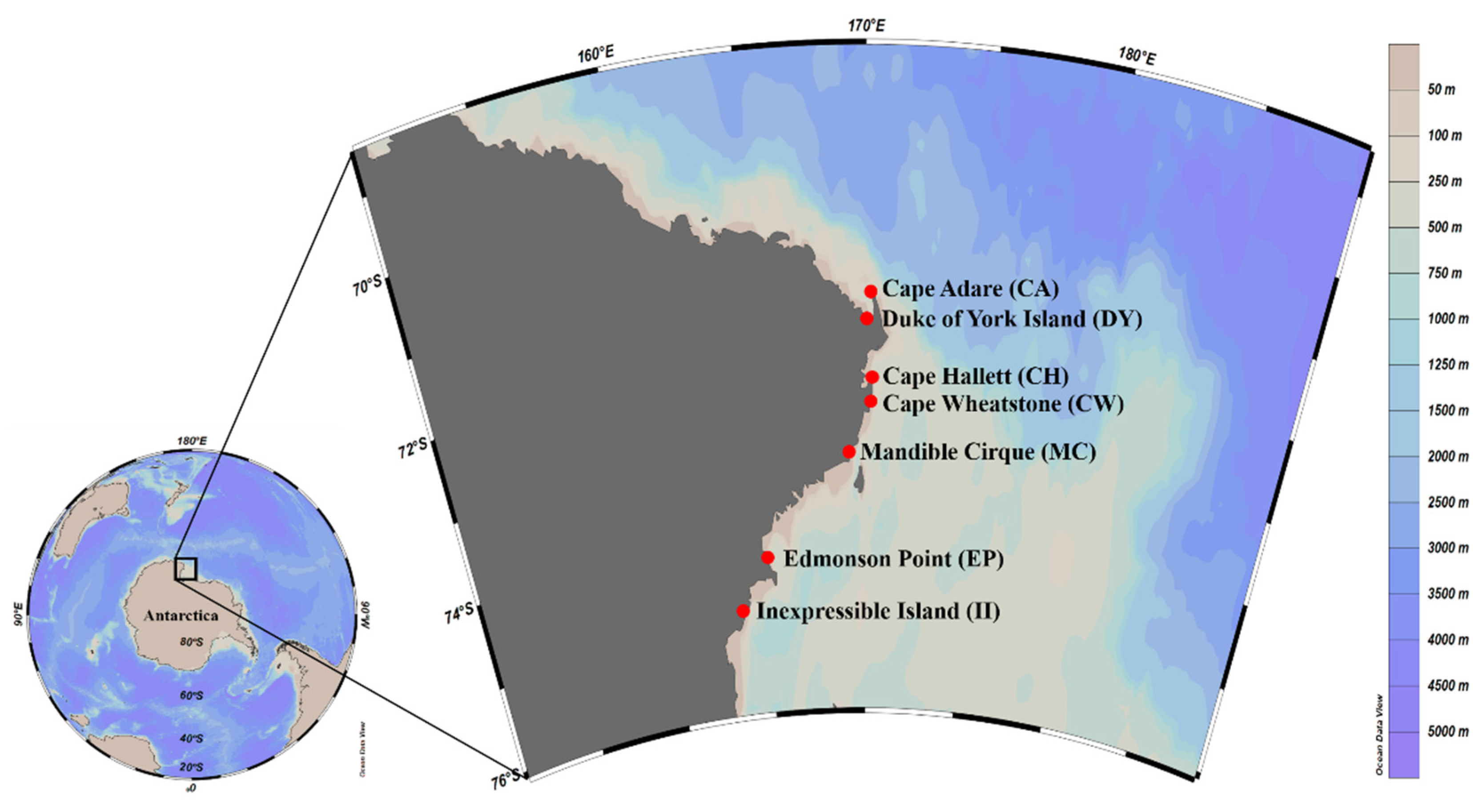 Biology 11 00182 g001