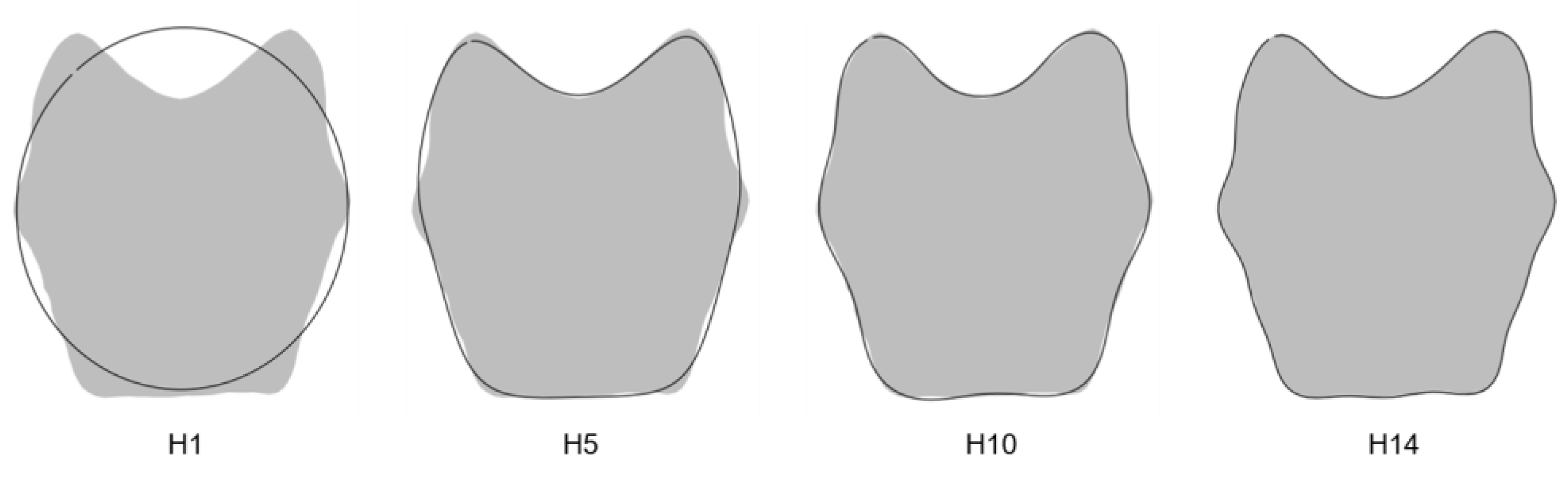 Biology 11 00200 g002