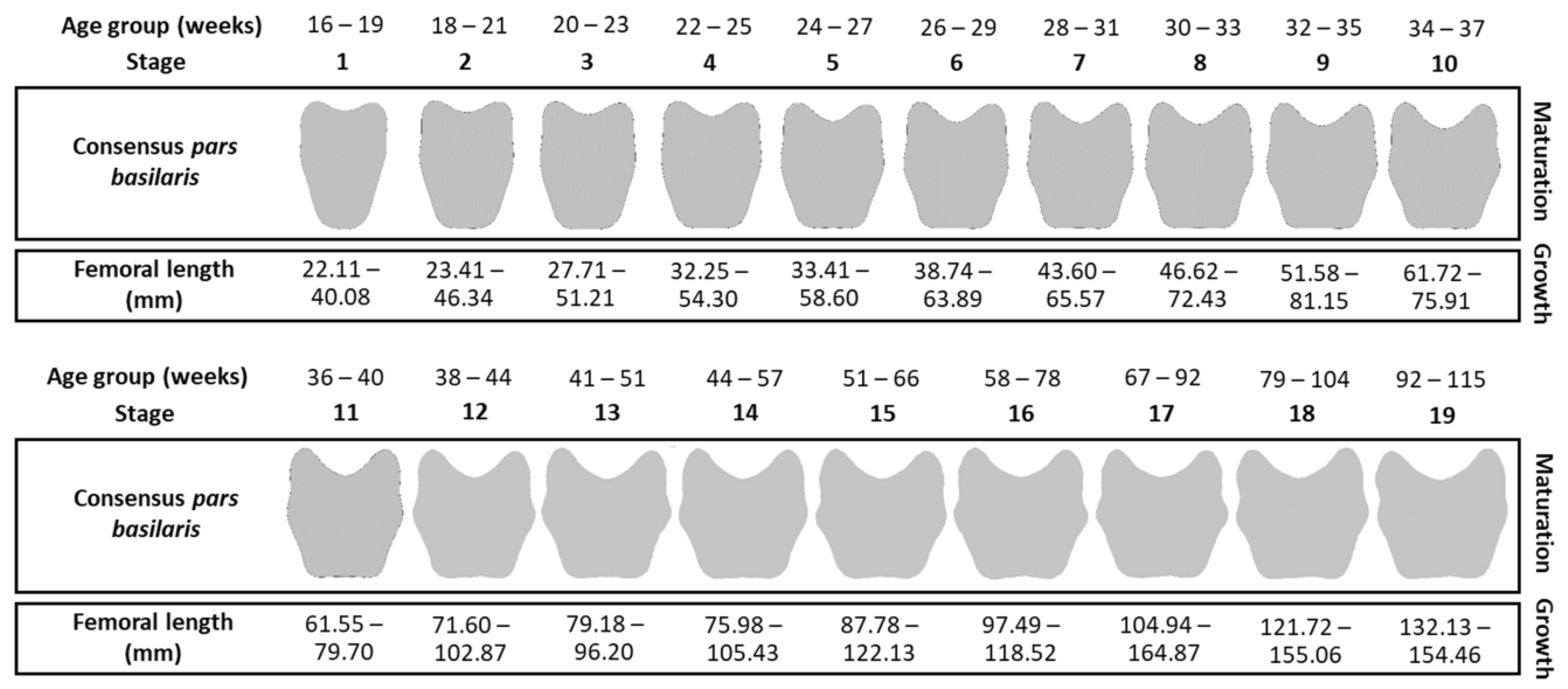 Biology 11 00200 g003
