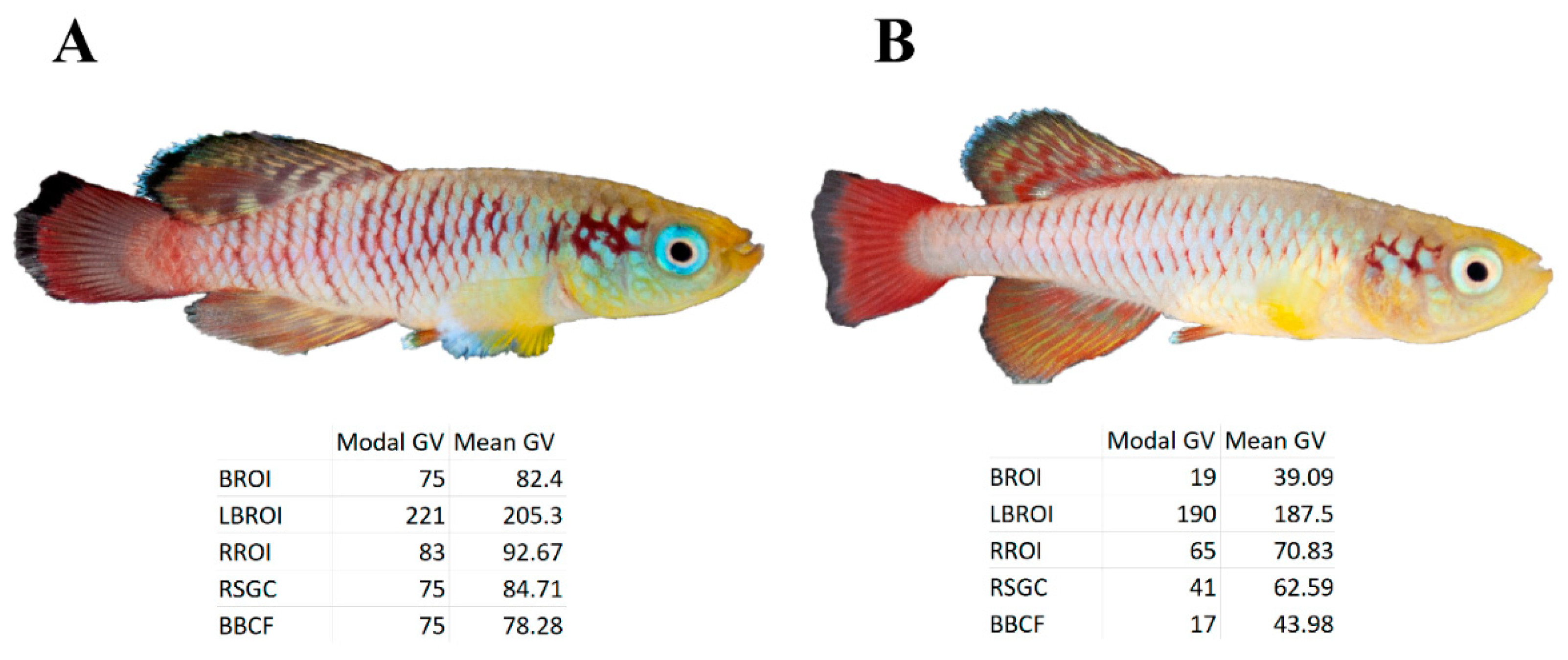 Biology 11 00205 g007