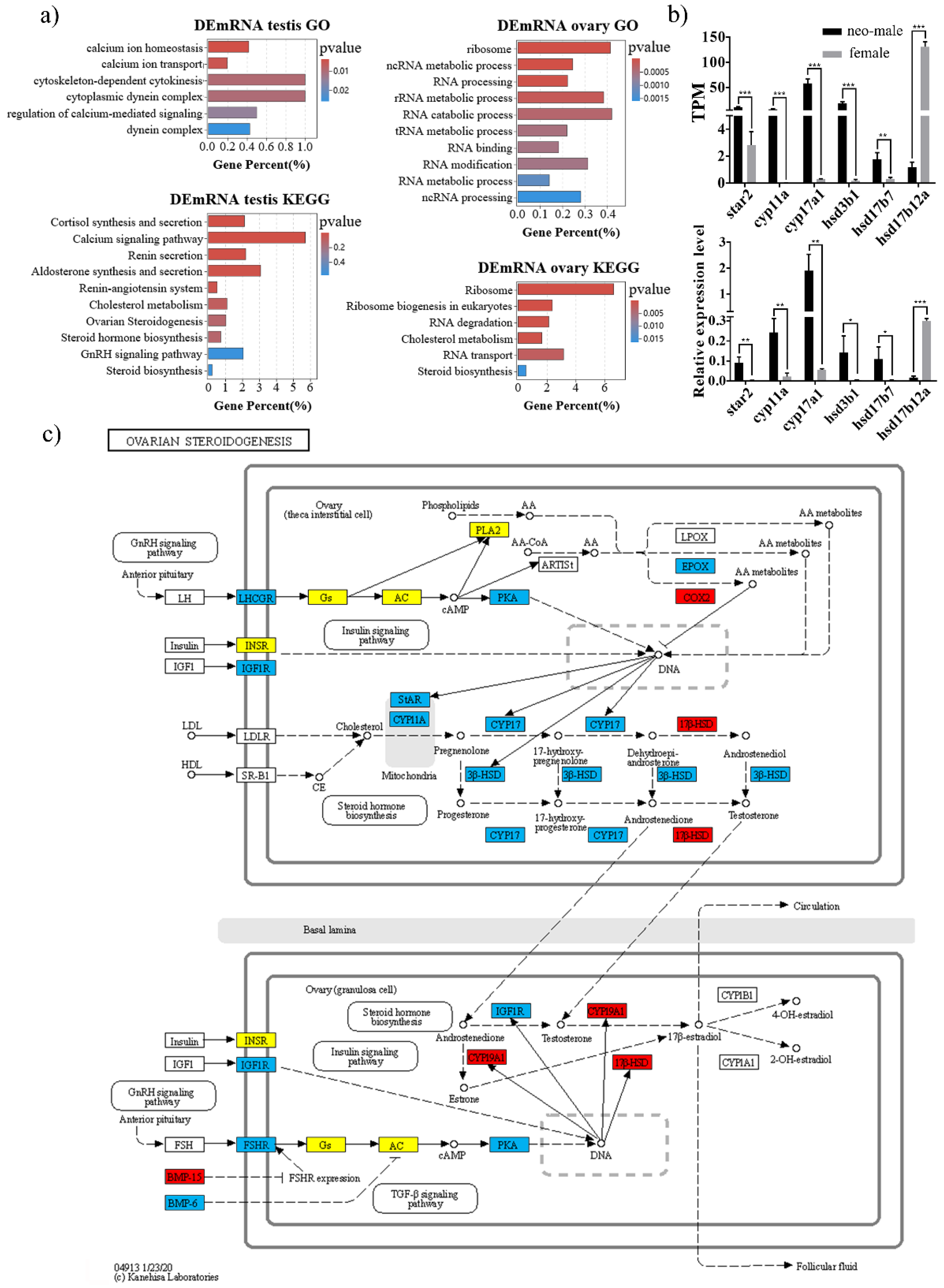 Biology 11 00213 g003 Biology 11 00213 g003