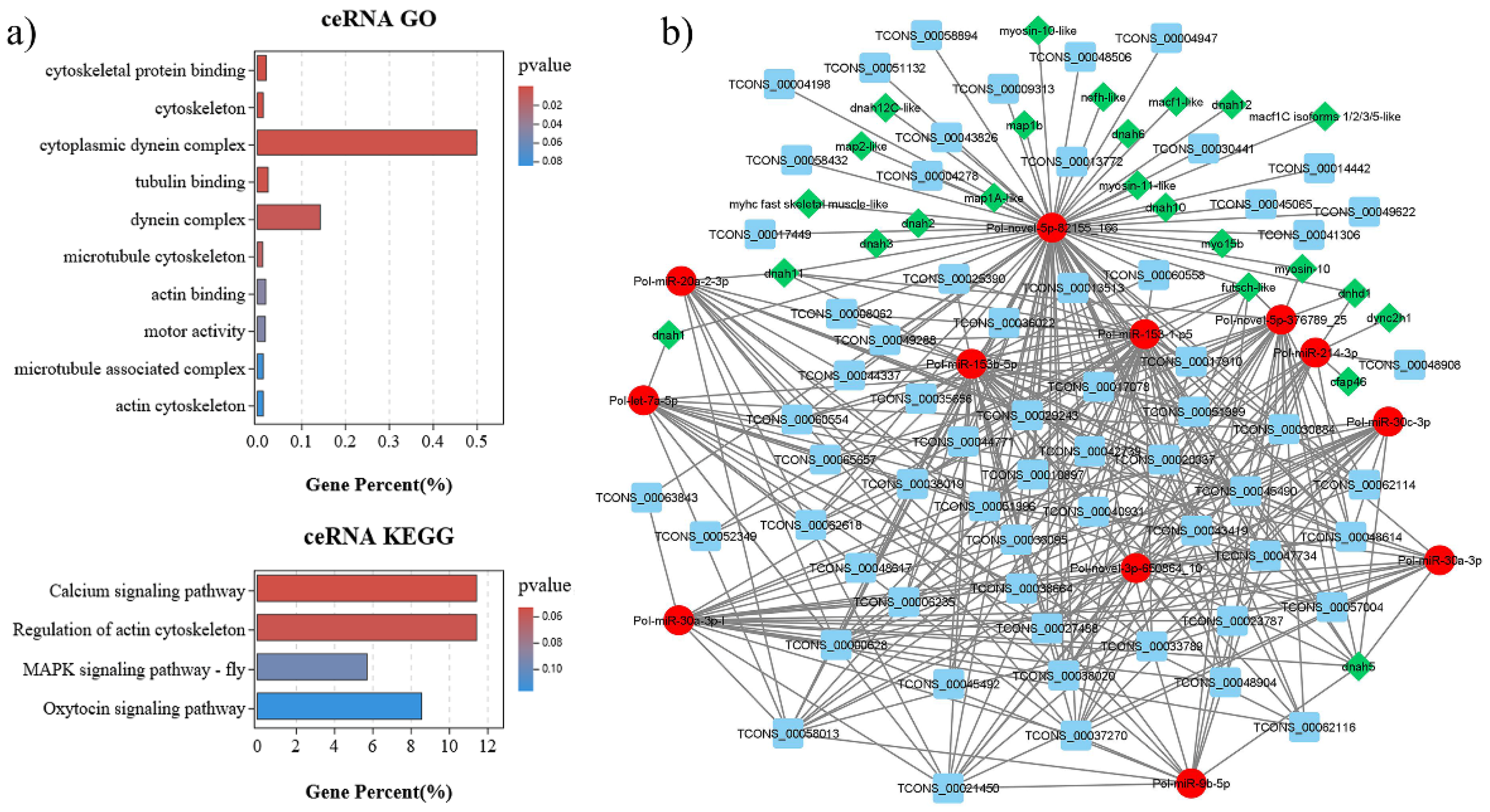 Biology 11 00213 g004 Biology 11 00213 g004