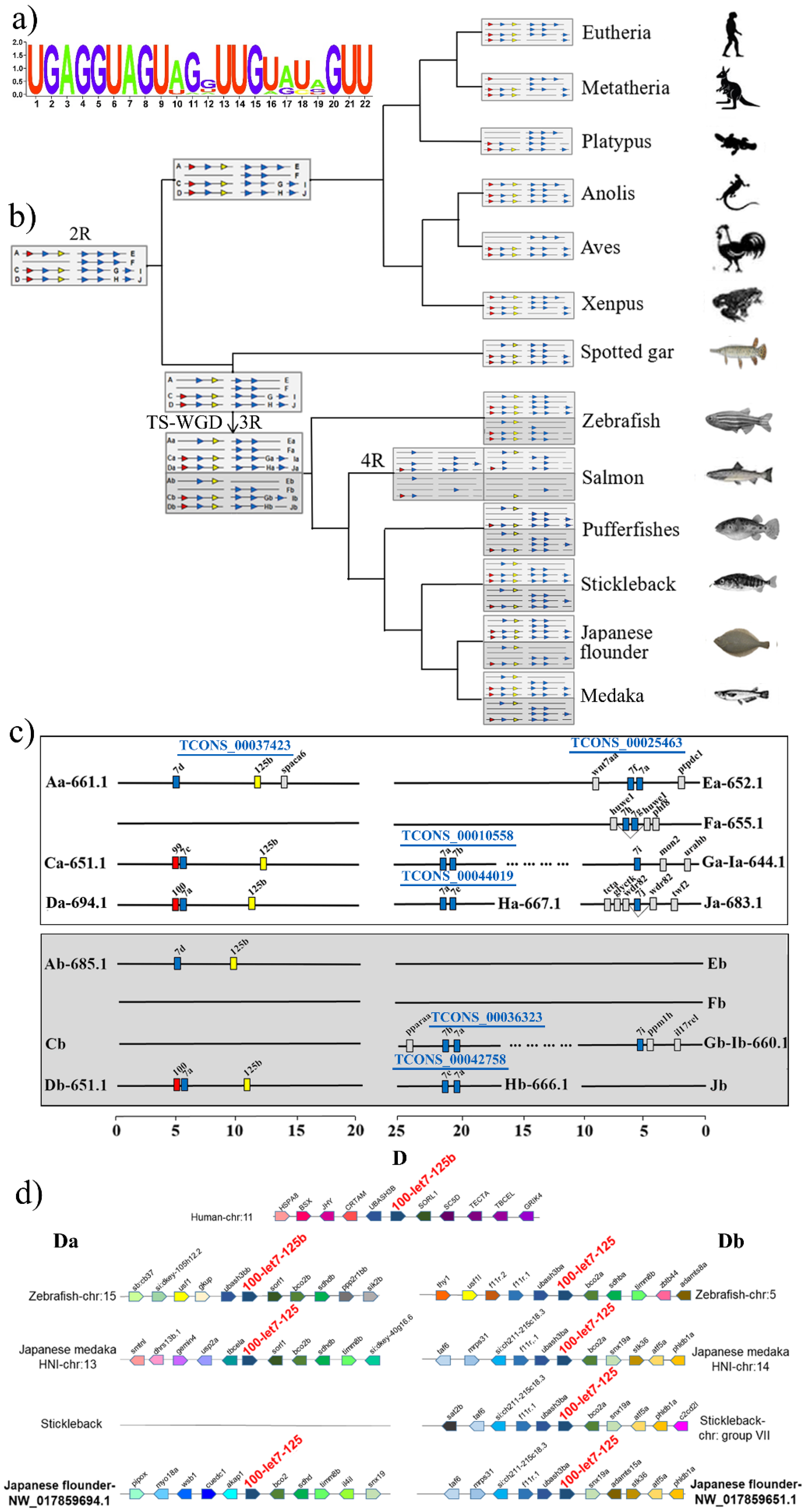 Biology 11 00213 g005 Biology 11 00213 g005