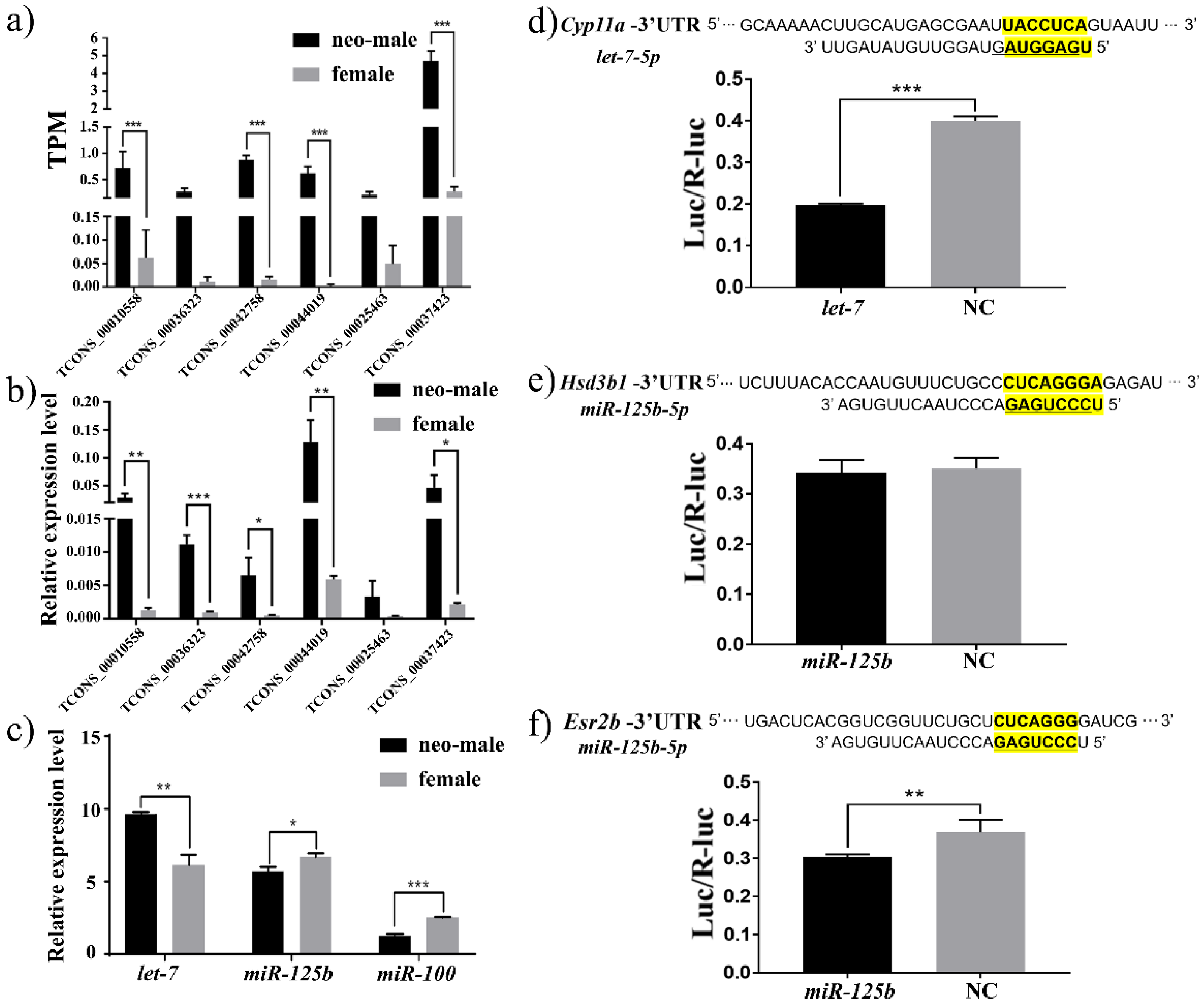 Biology 11 00213 g006 Biology 11 00213 g006