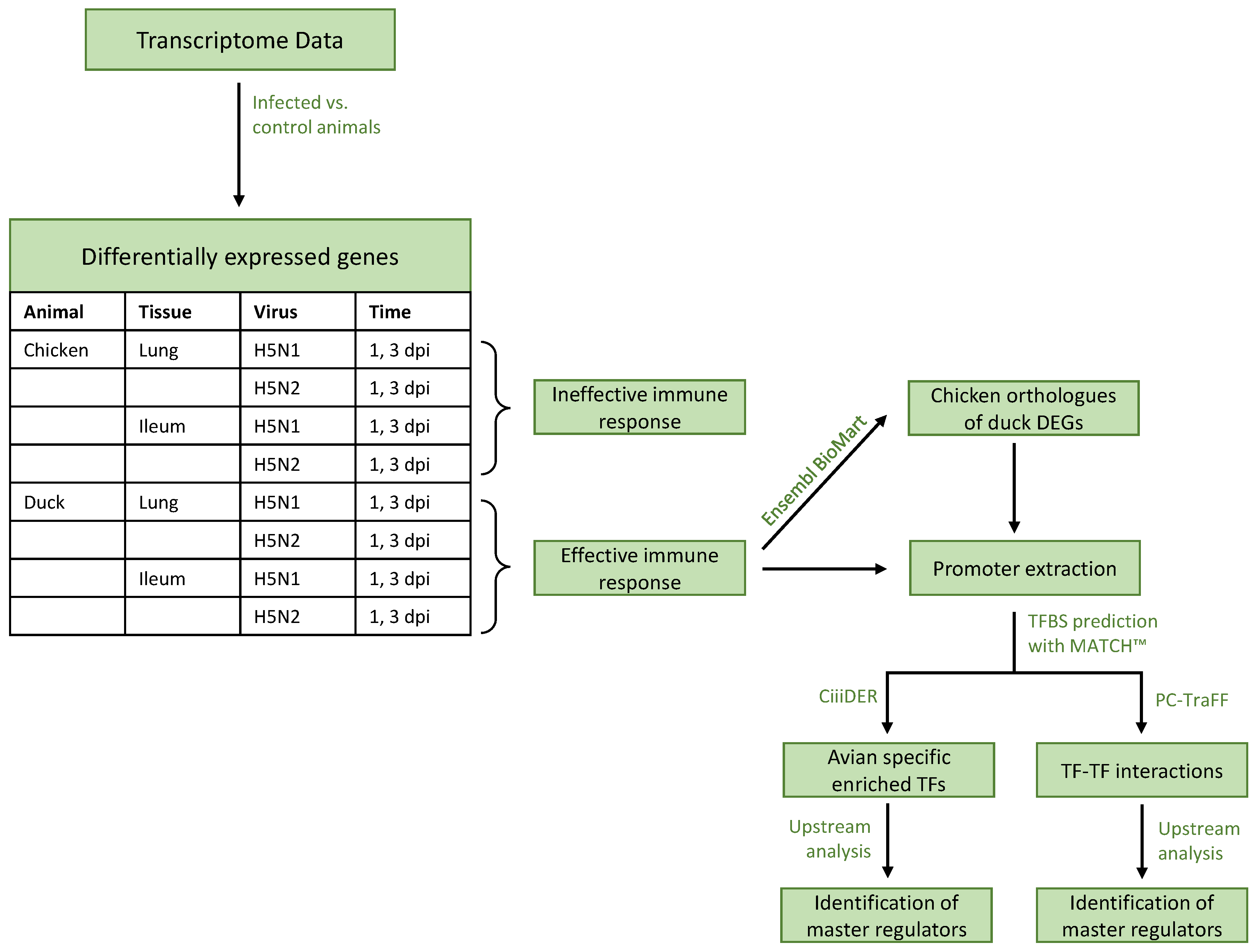 Biology 11 00219 g001 Biology 11 00219 g001