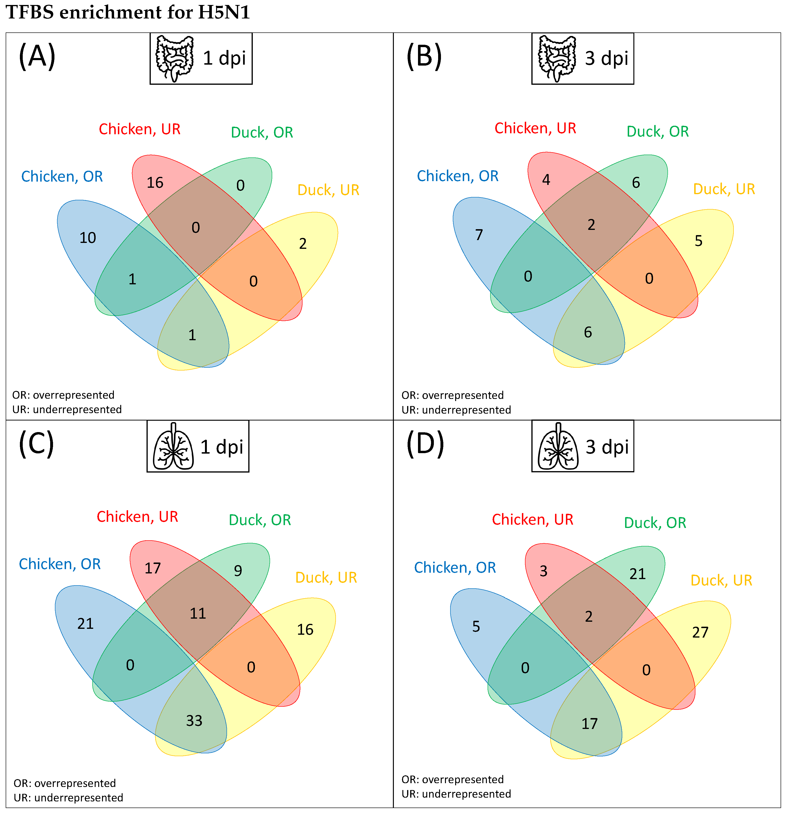 Biology 11 00219 g003 Biology 11 00219 g003