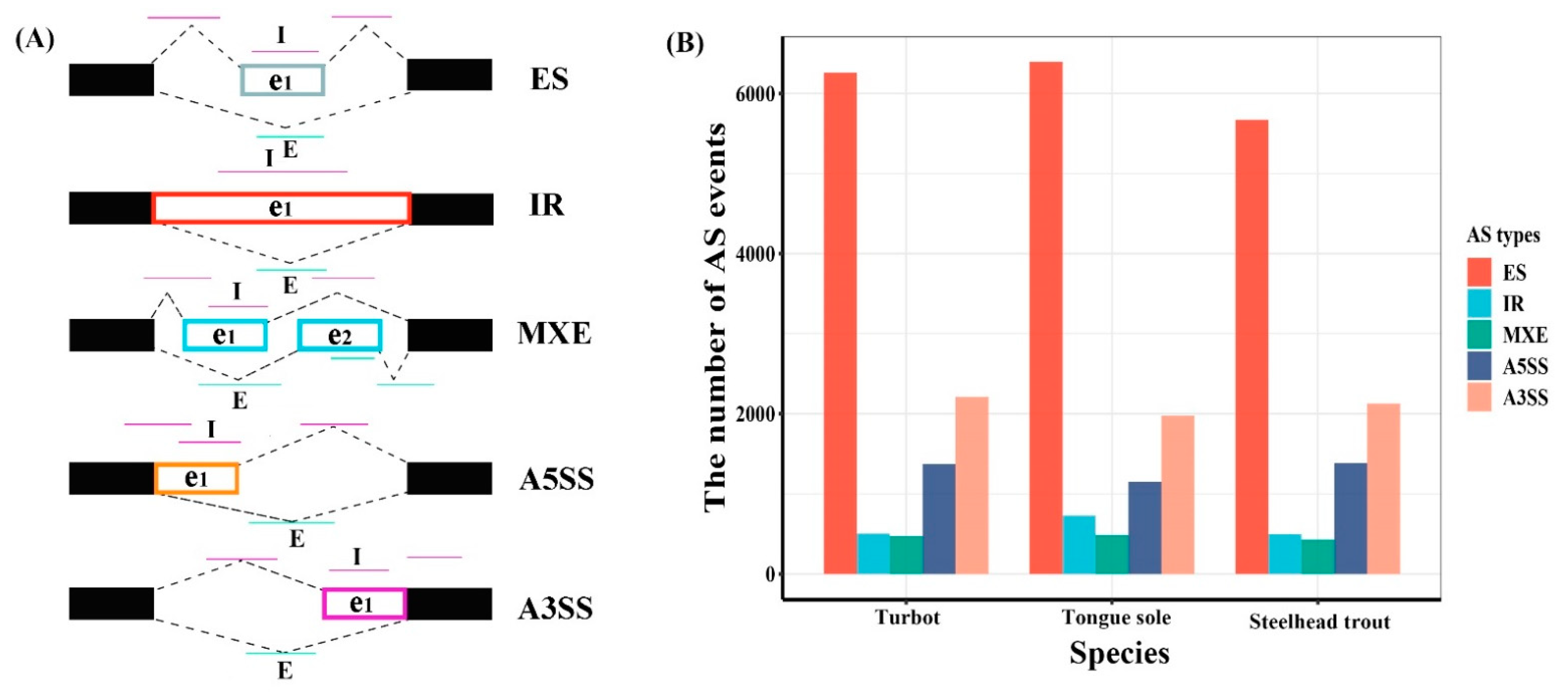 Biology 11 00222 g001