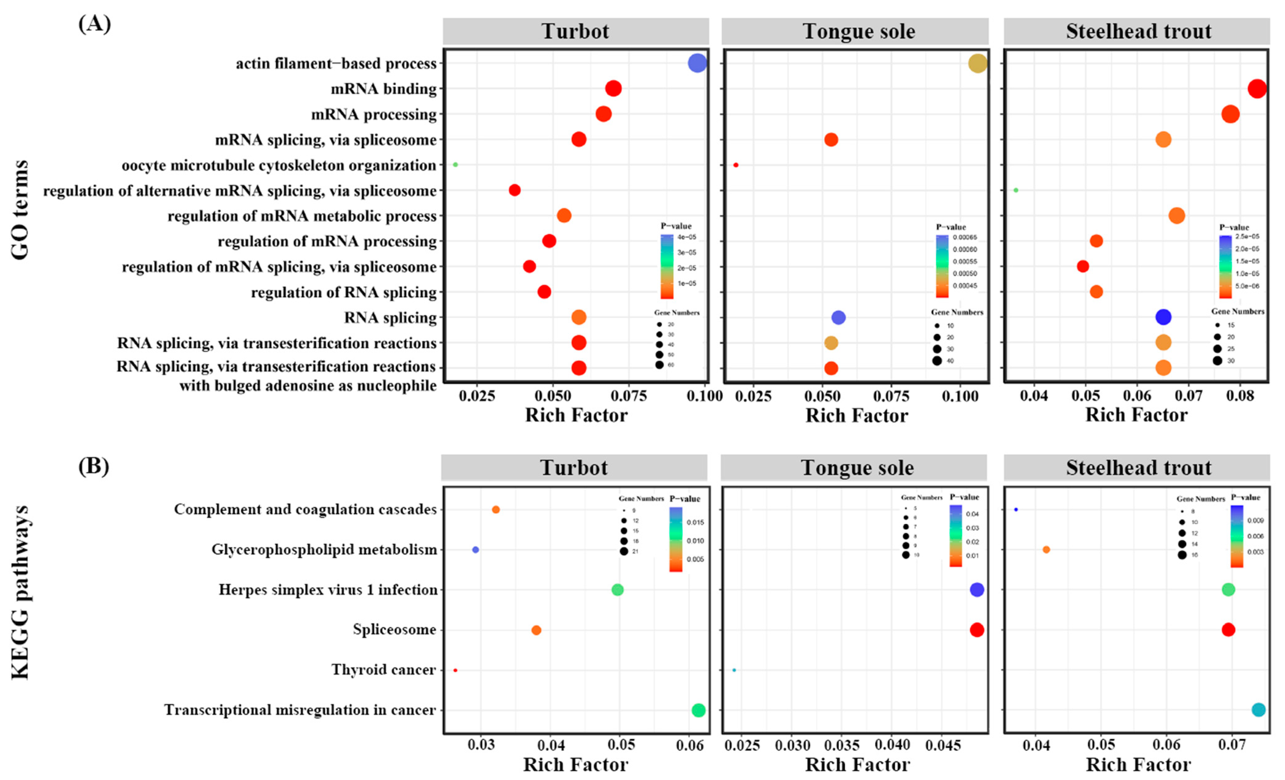Biology 11 00222 g005